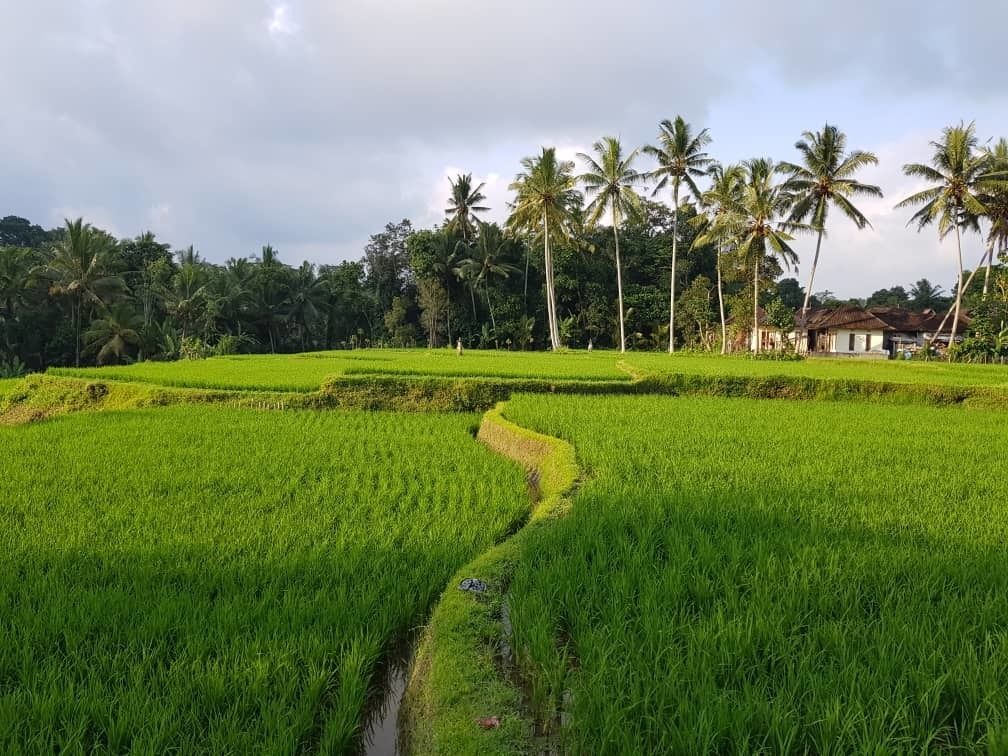 Puri Raya Villa