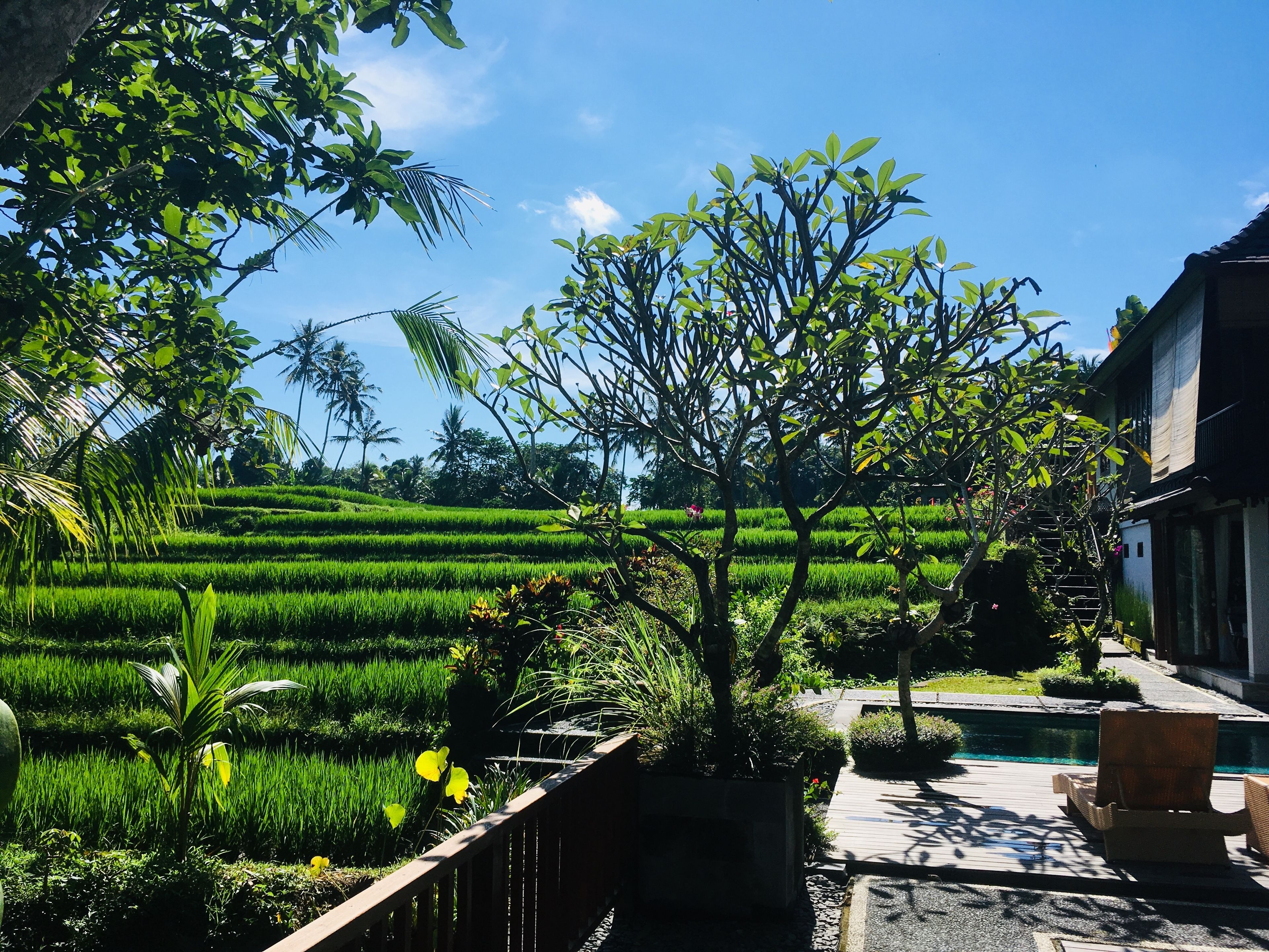 Puri Raya Villa