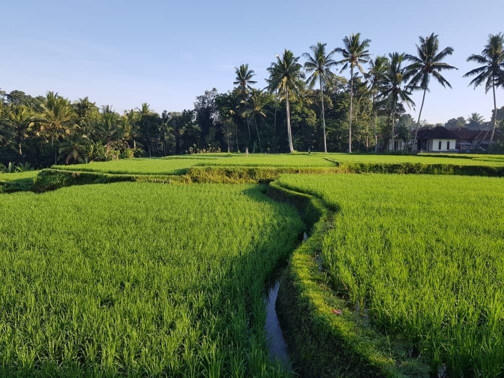 Puri Raya Villa