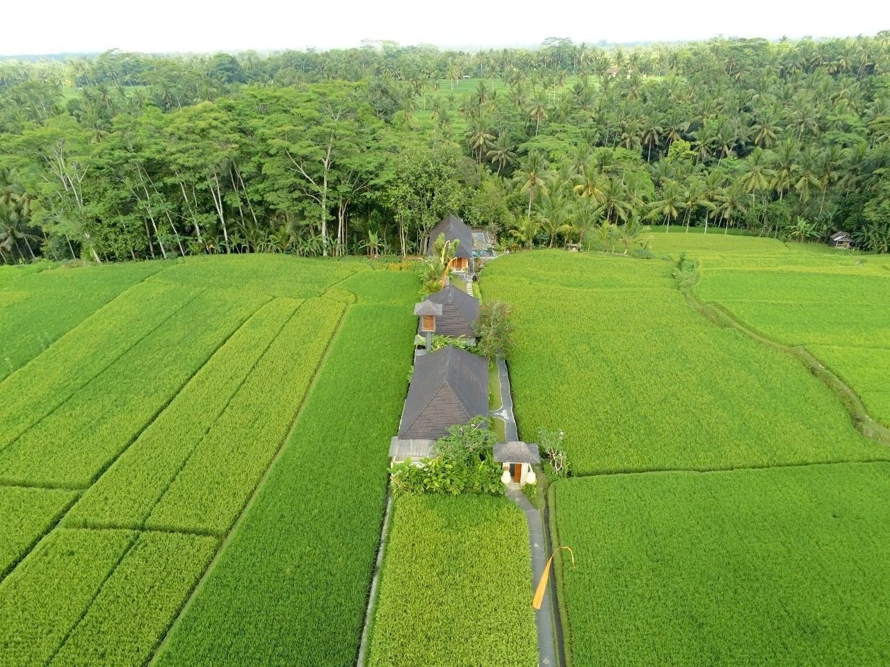 Puri Raya Villa