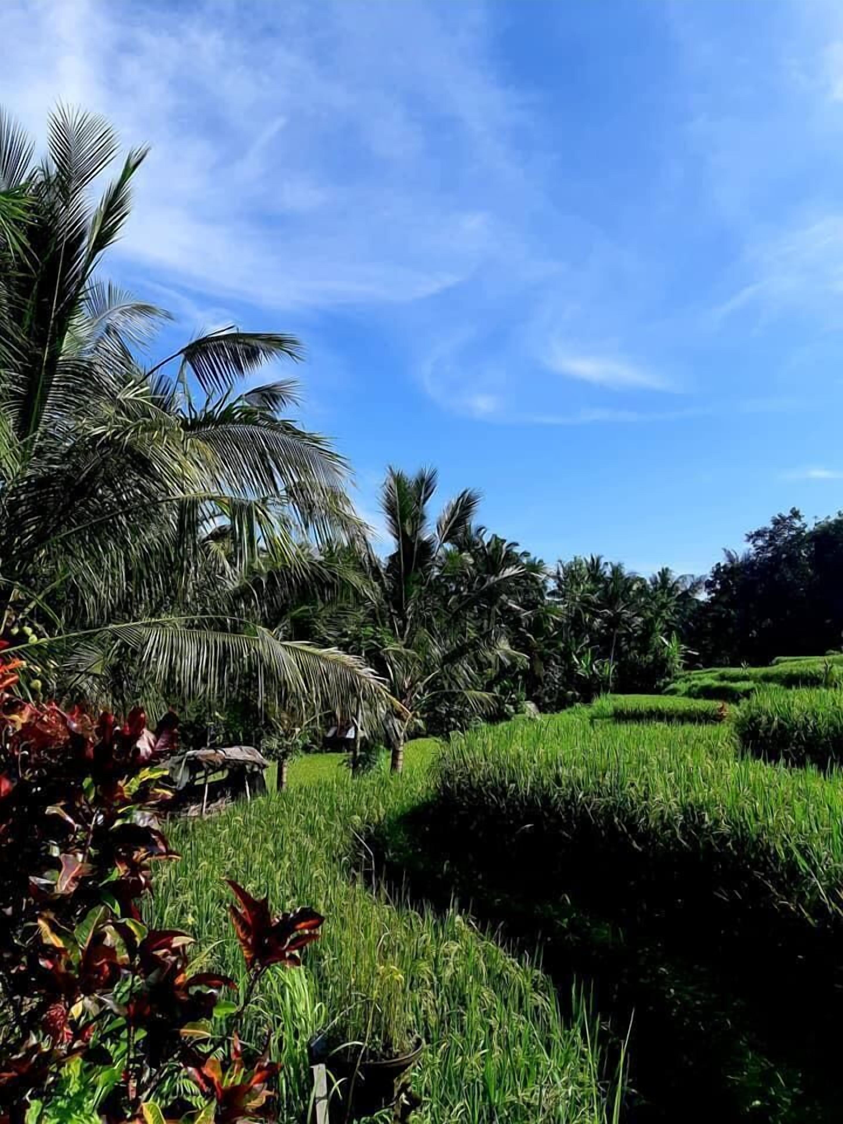 Puri Raya Villa