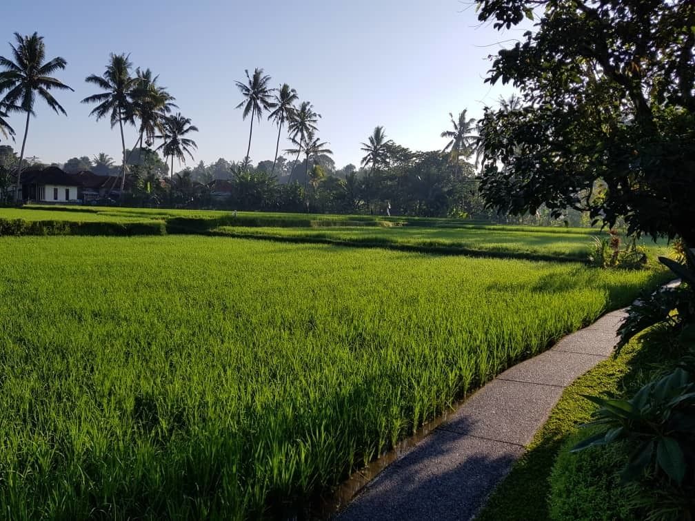 Puri Raya Villa
