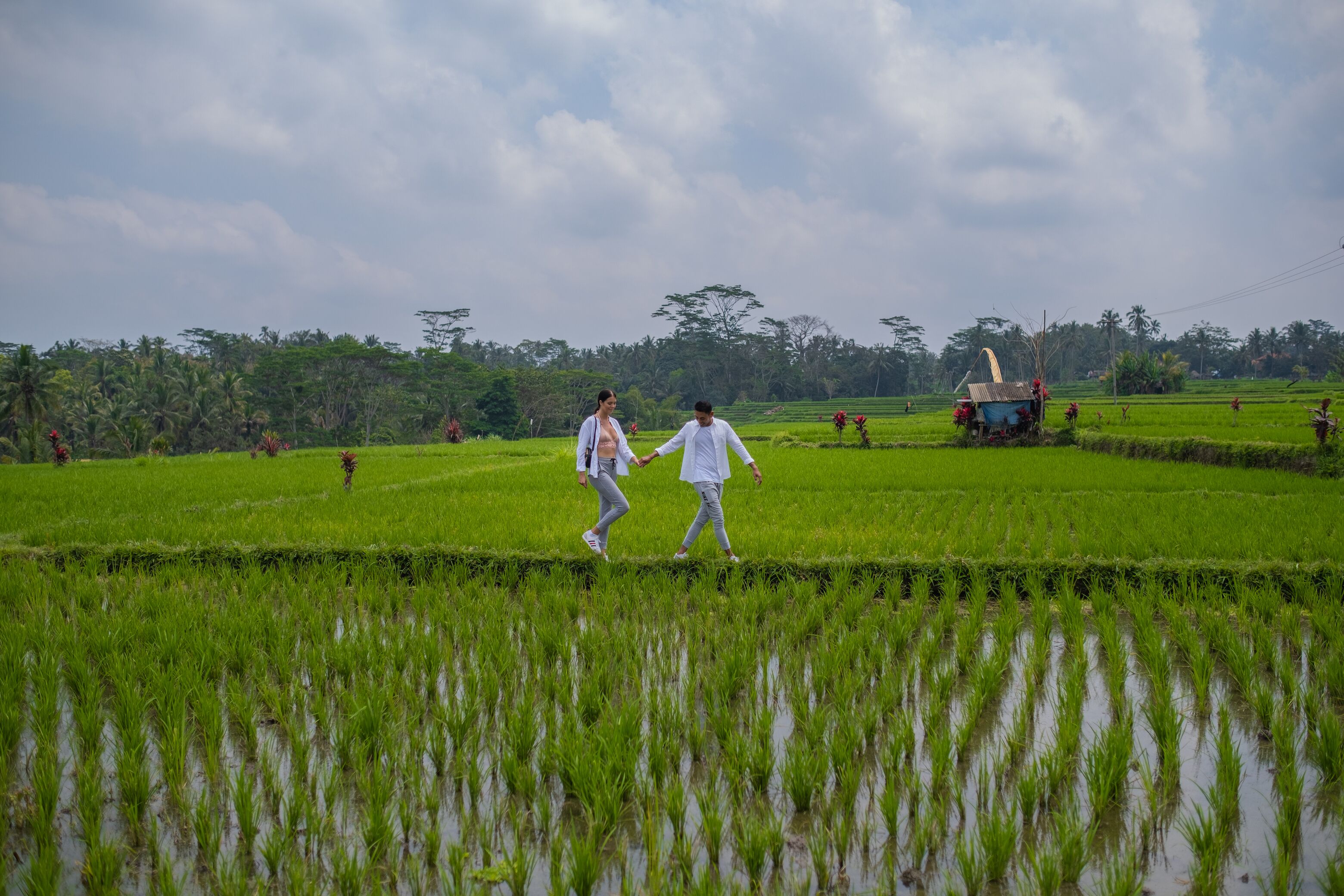Puri Wulandari Boutique Resort & Spa