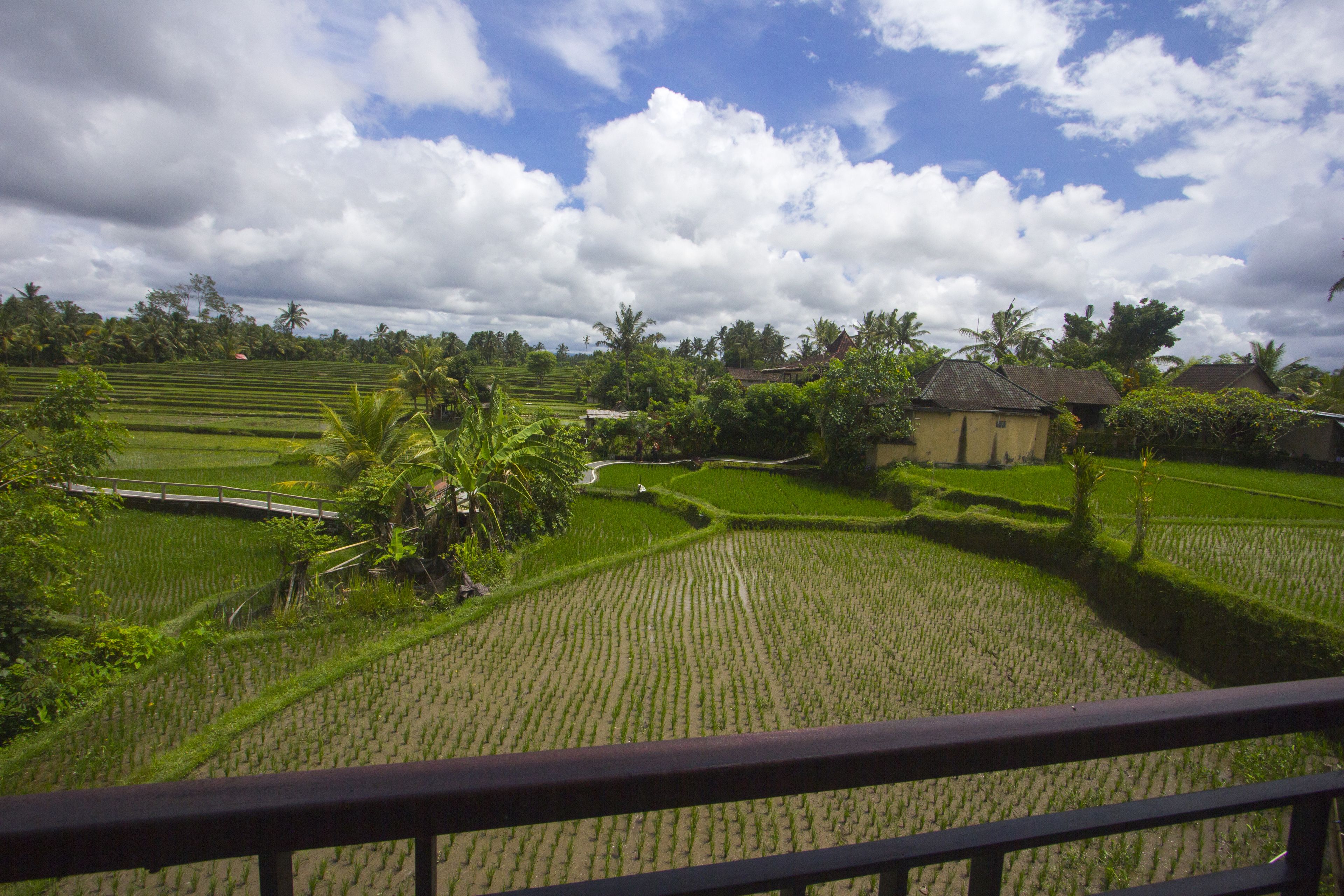 Purnama Guest House