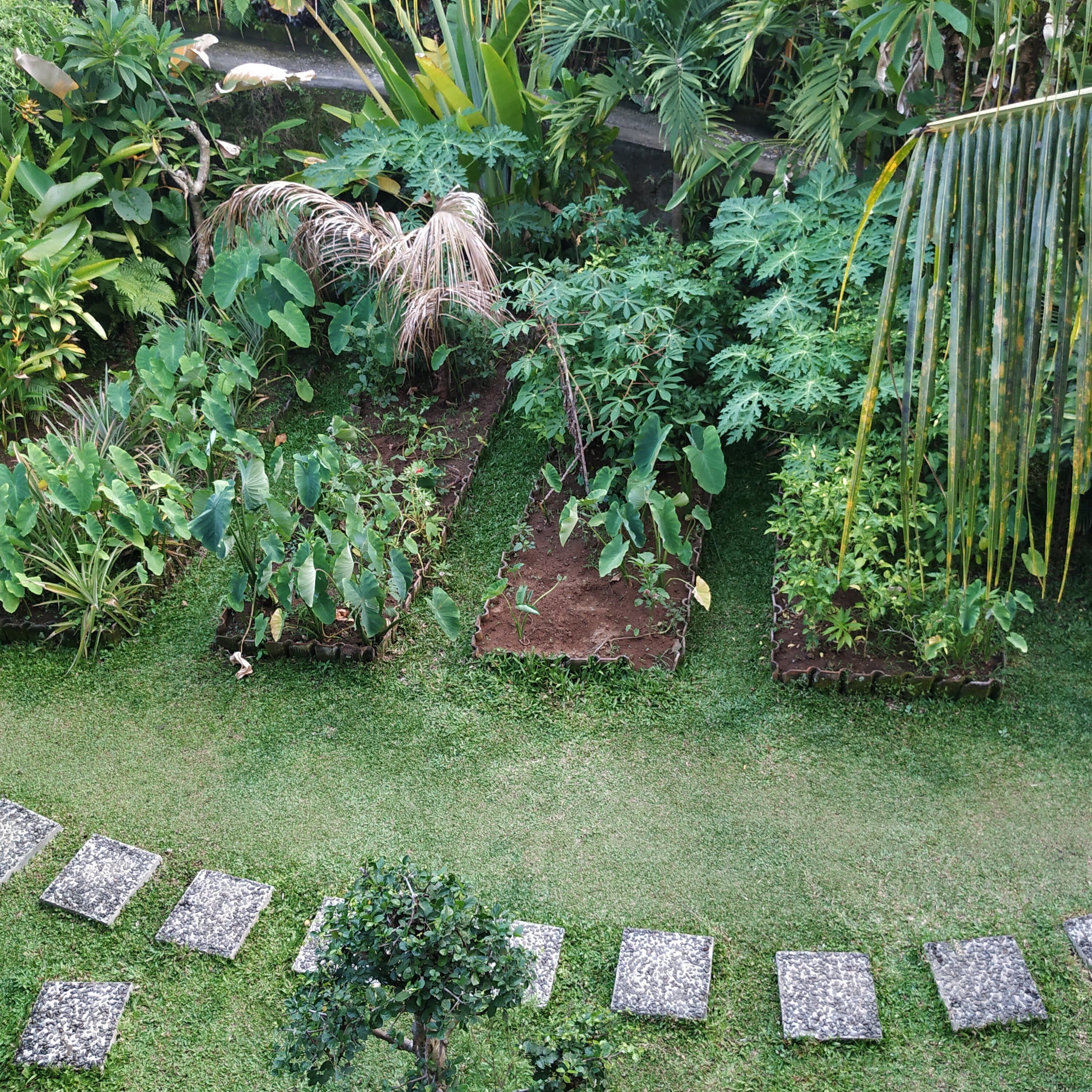 Putu's Paradise Guesthouse