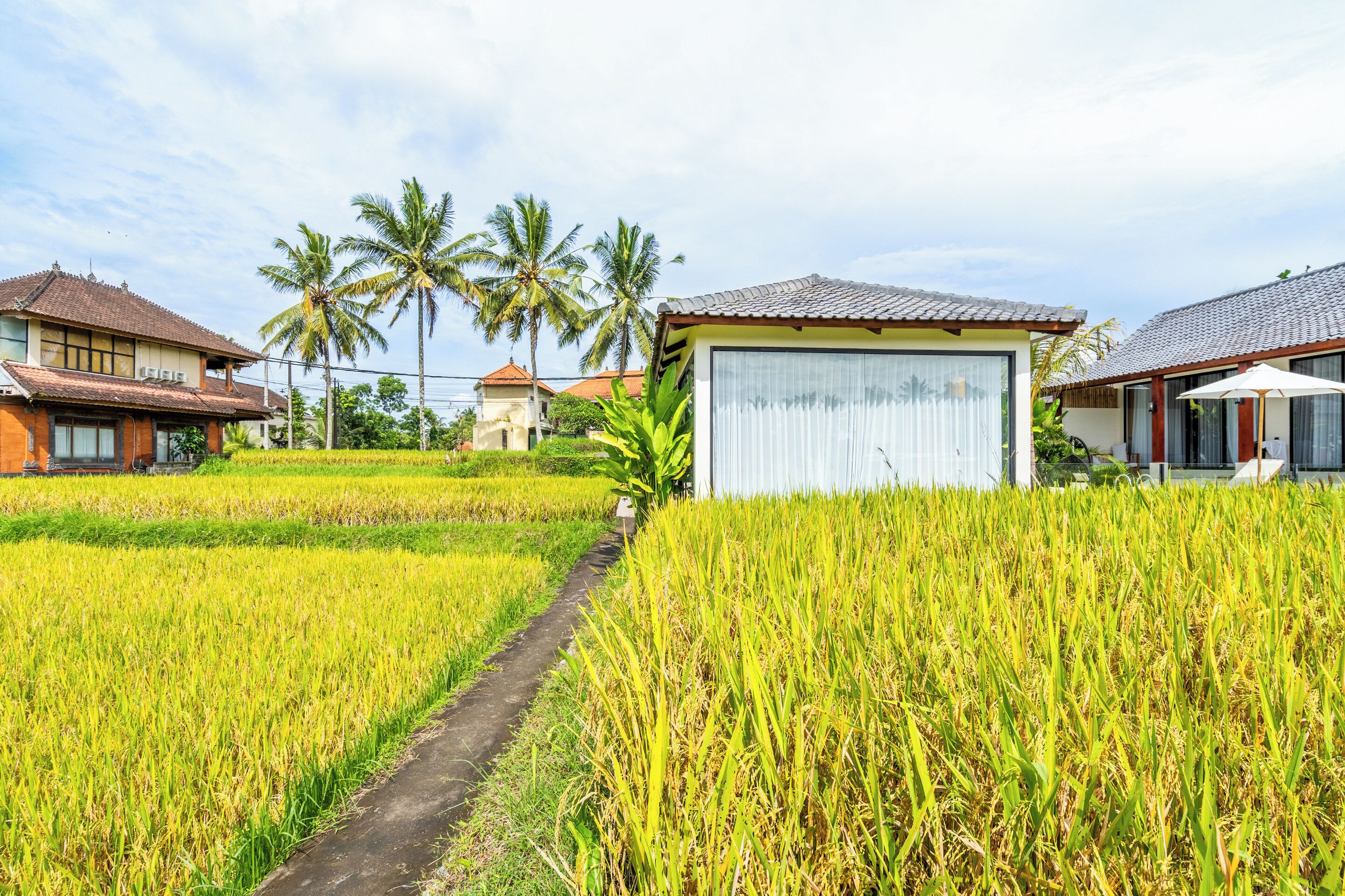 Rice Field Villa