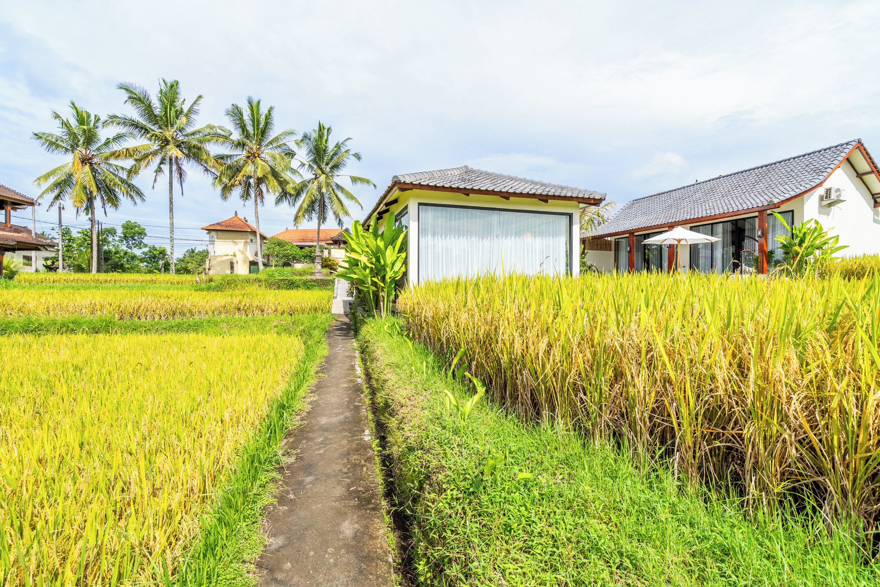 Rice Field Villa