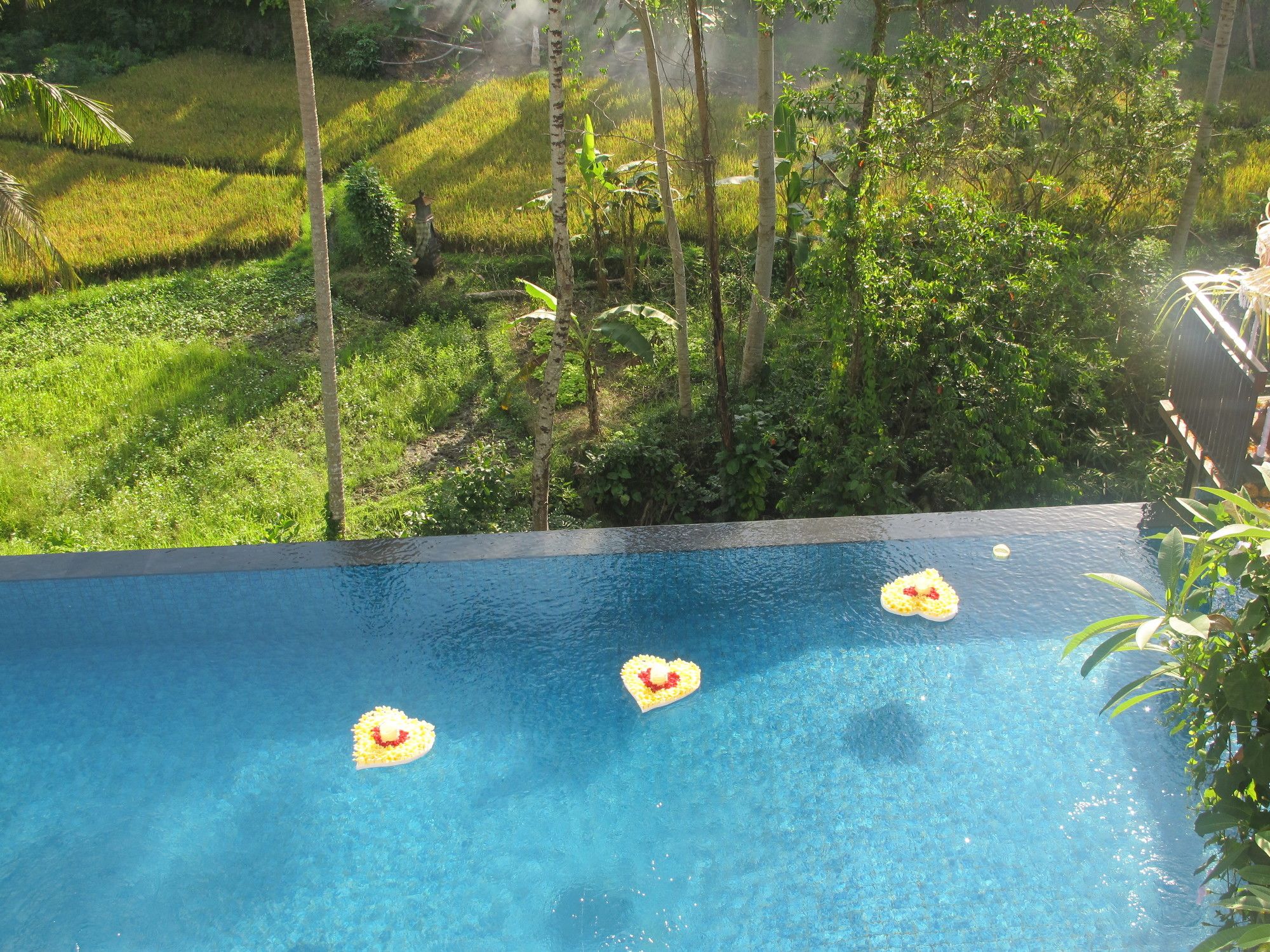 River Sakti Ubud by Prasi