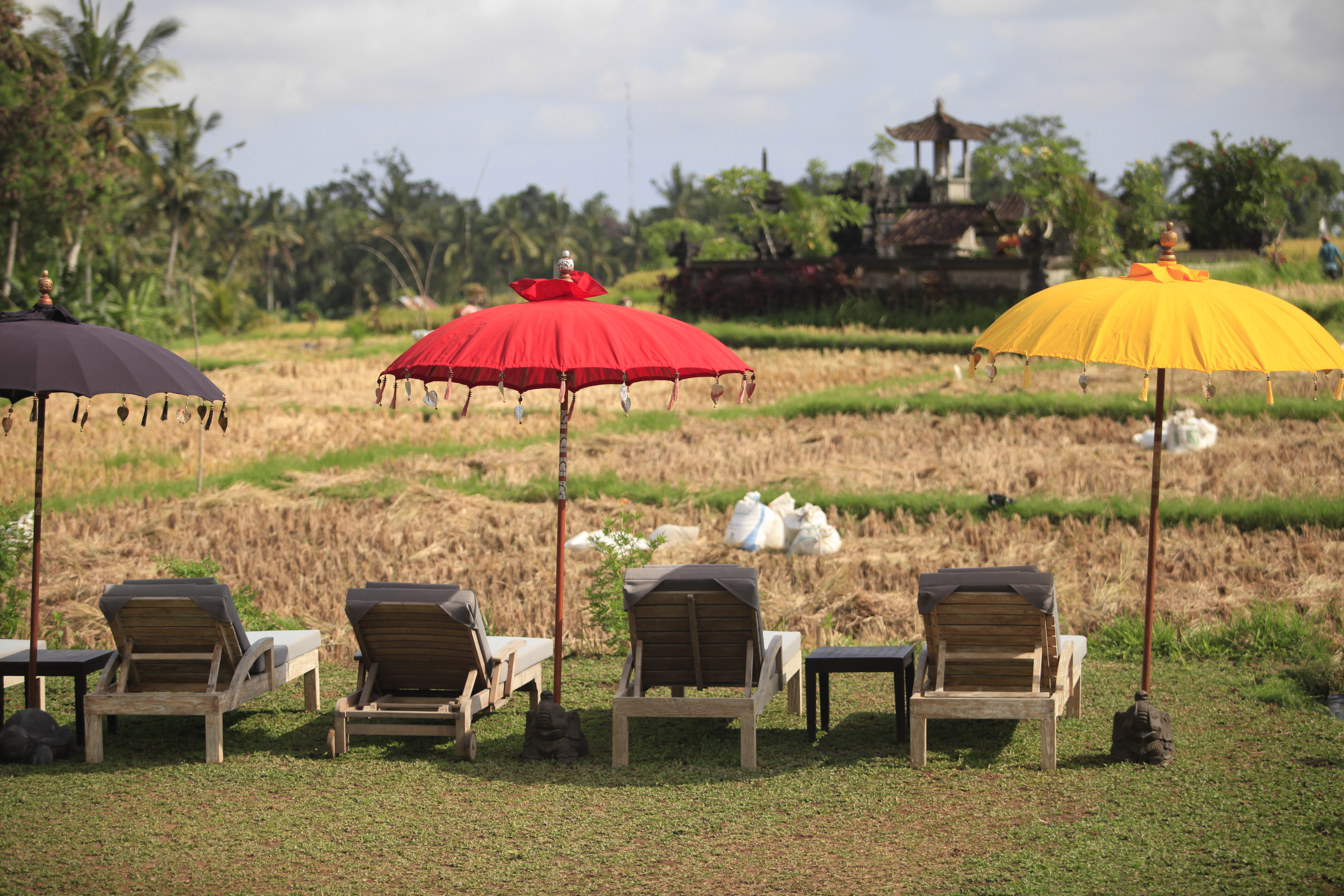 Visesa Ubud Resort