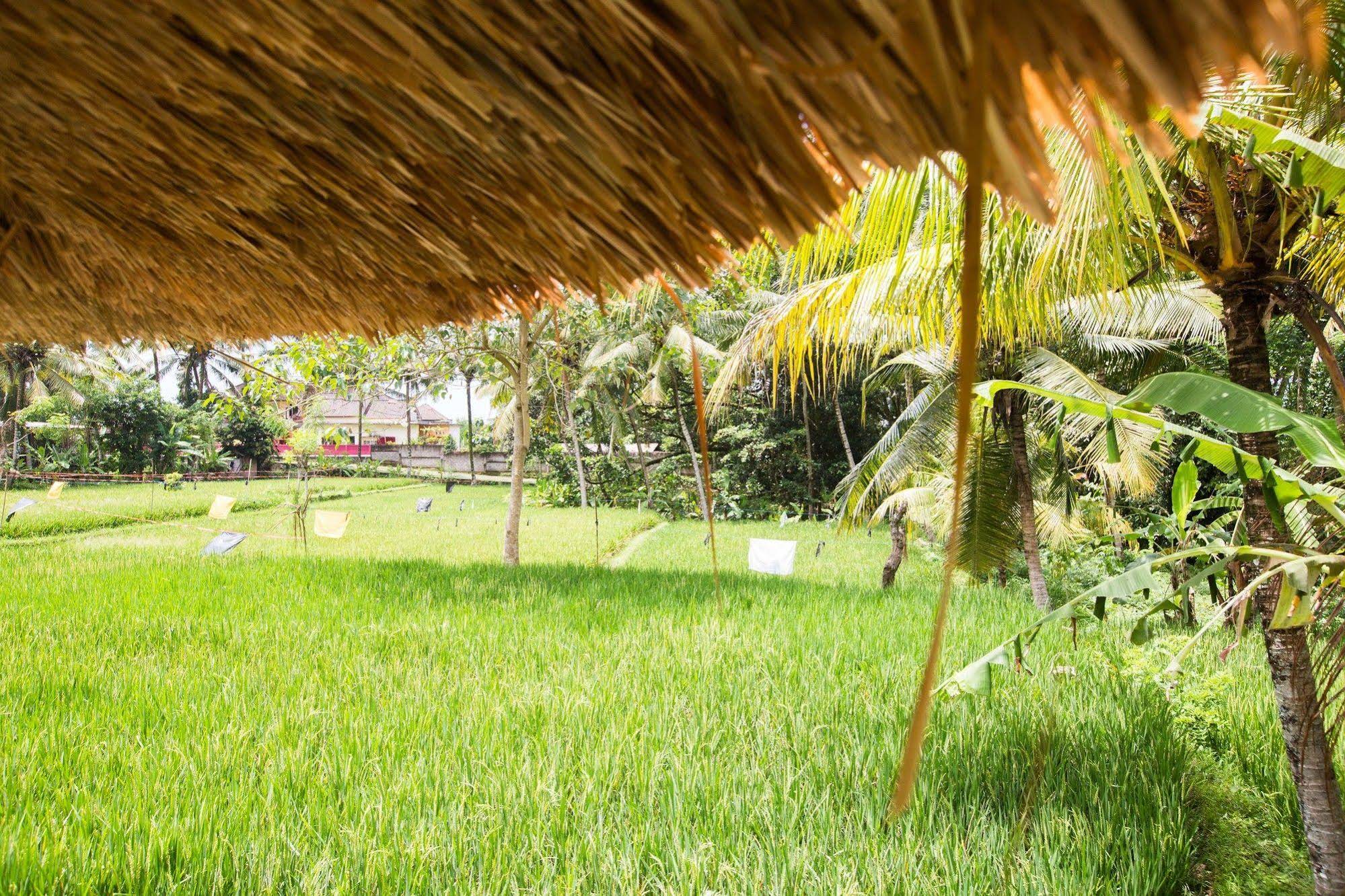 Royal Villa Jepun