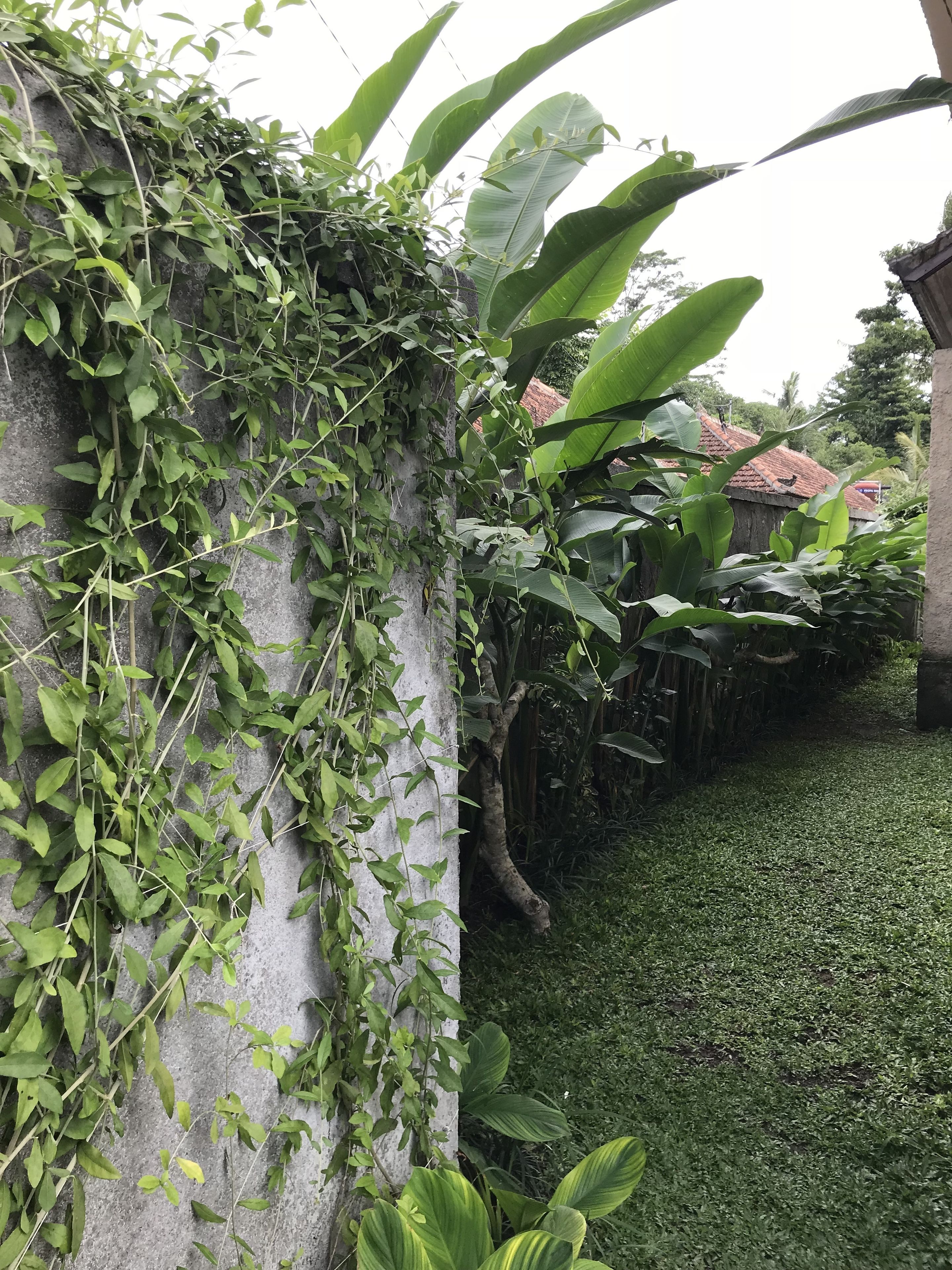 Rumah Dadong