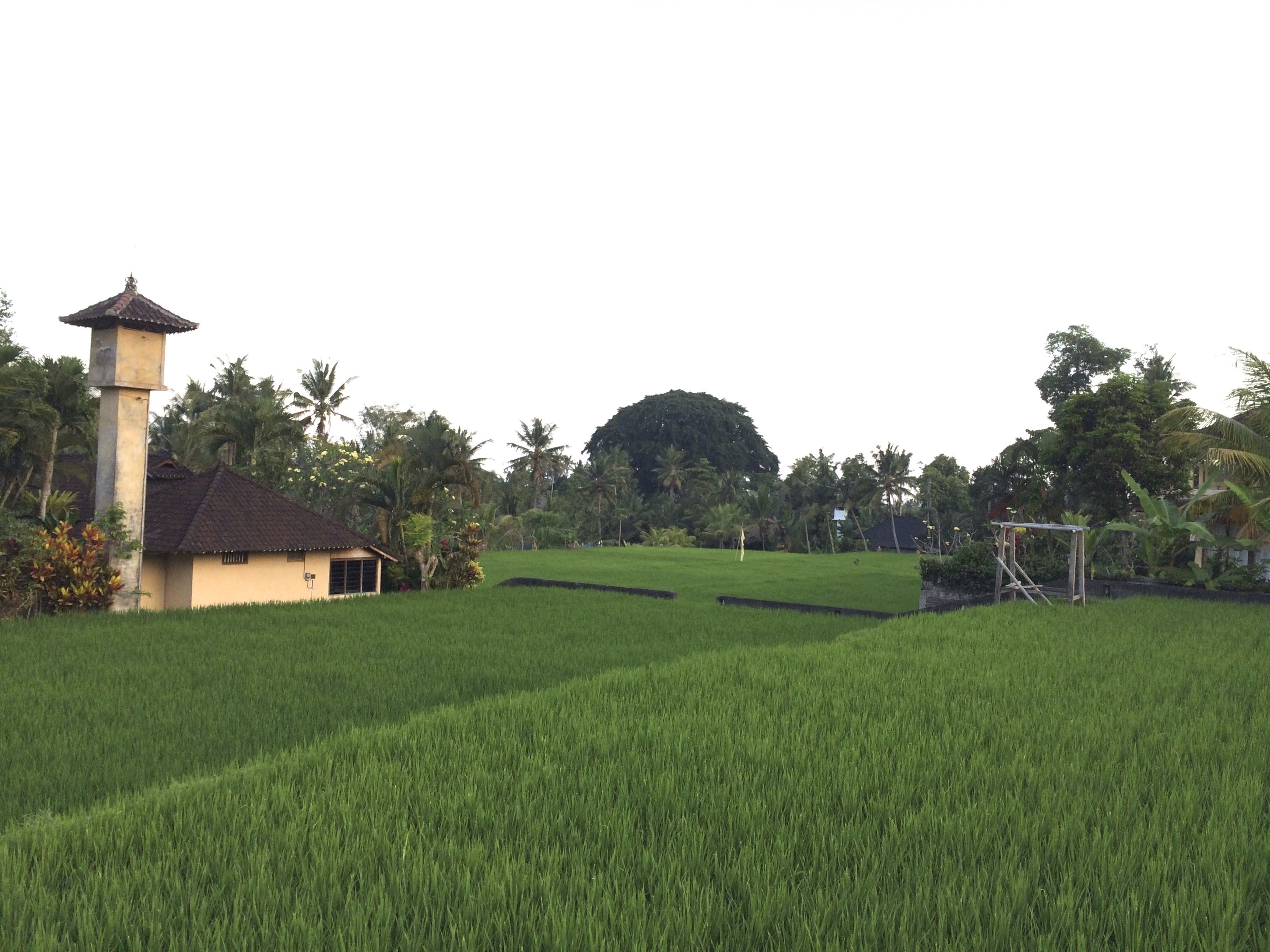 Rumah Dadong