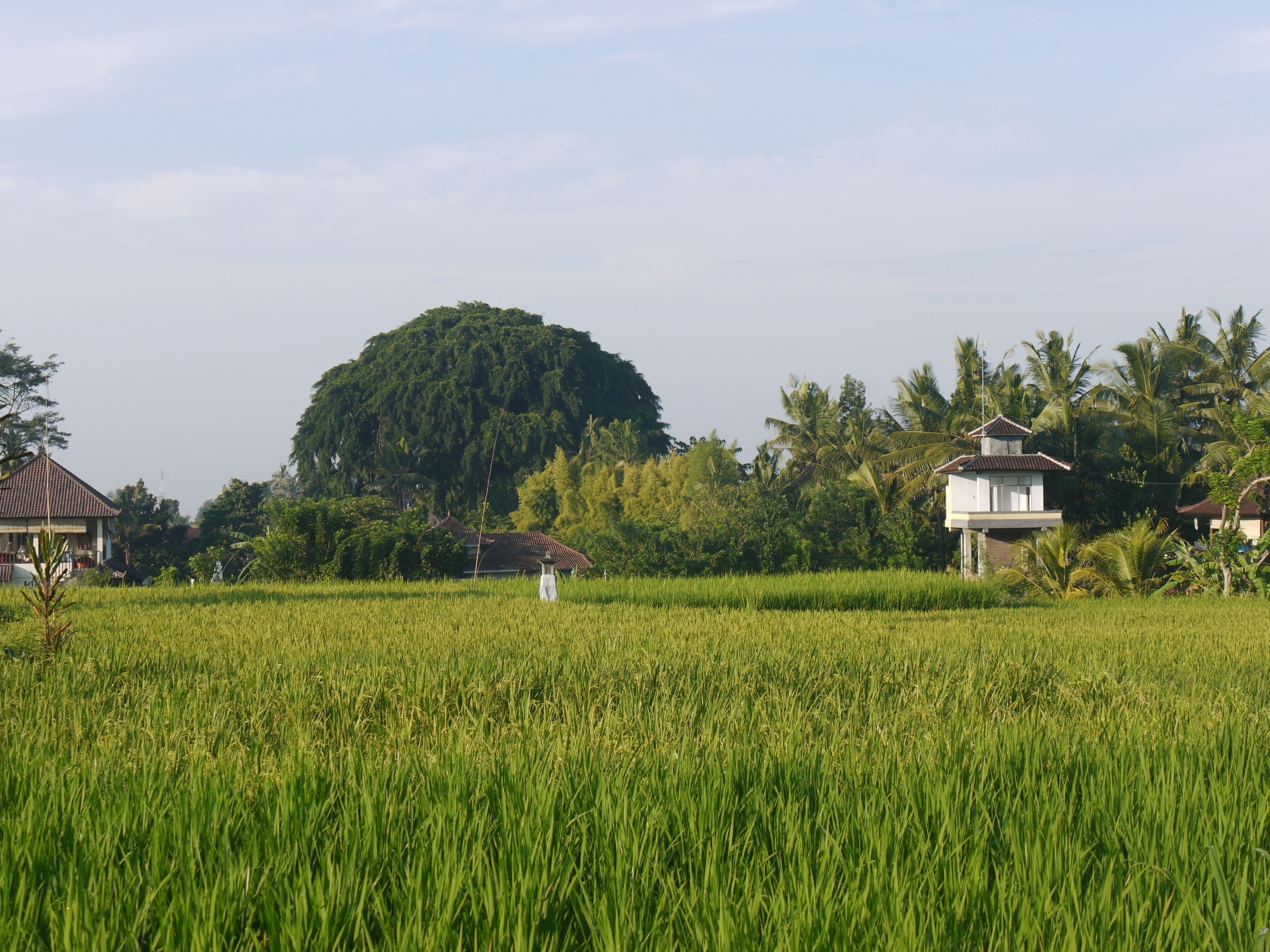 Rumah Dadong