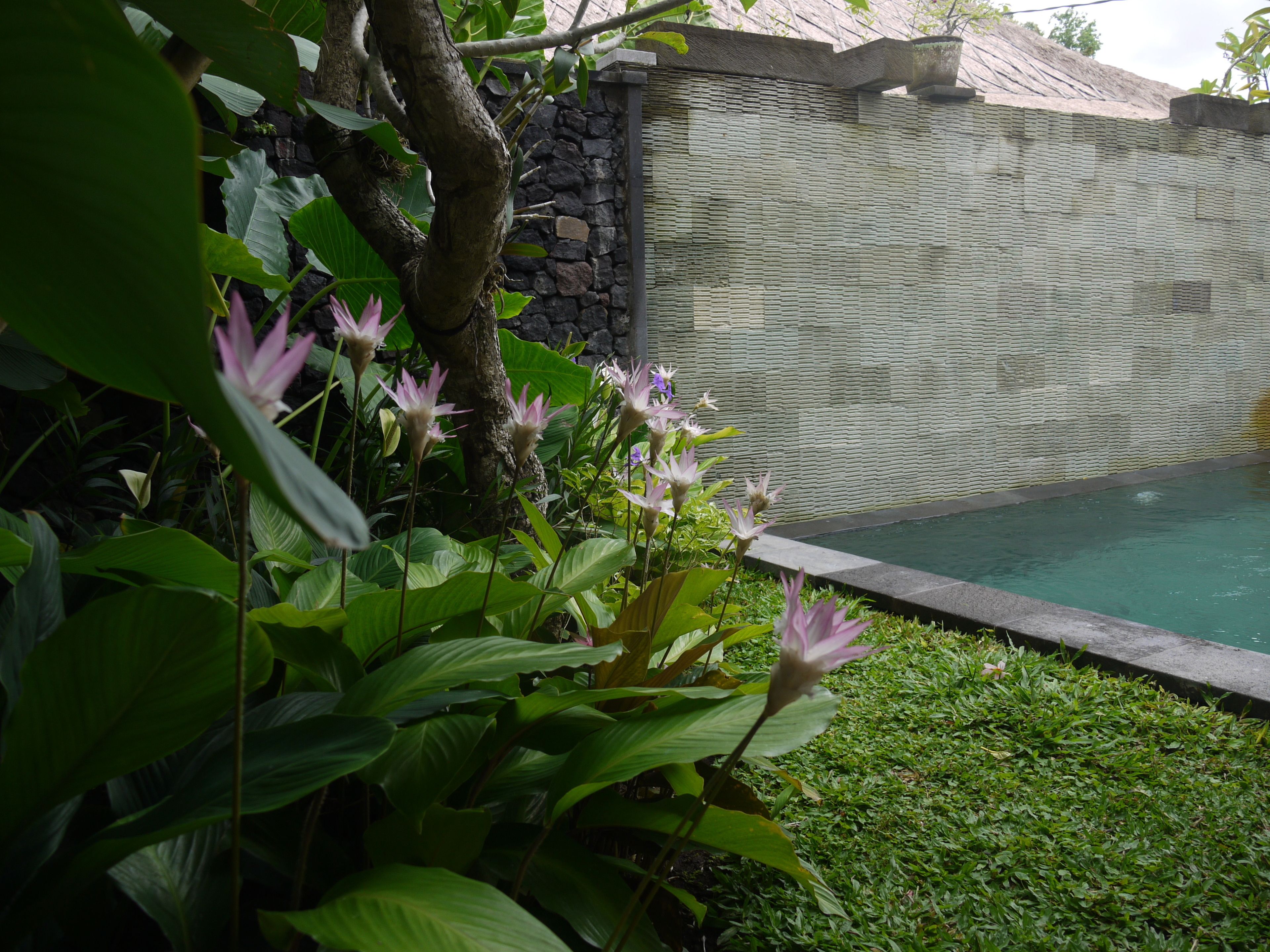 Rumah Dadong