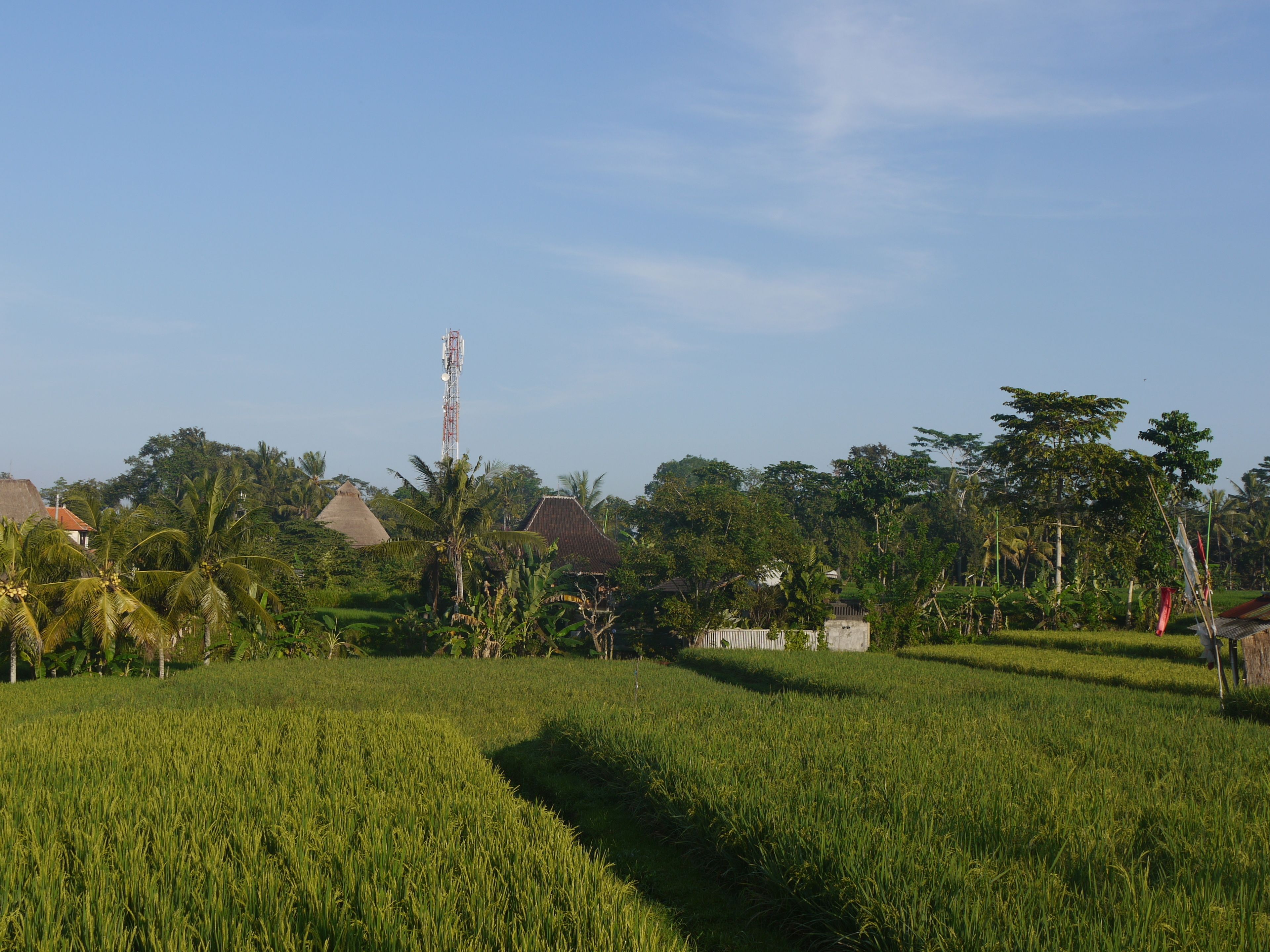 Rumah Dadong