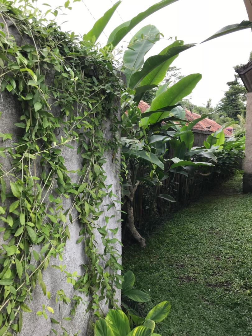 Rumah Dadong