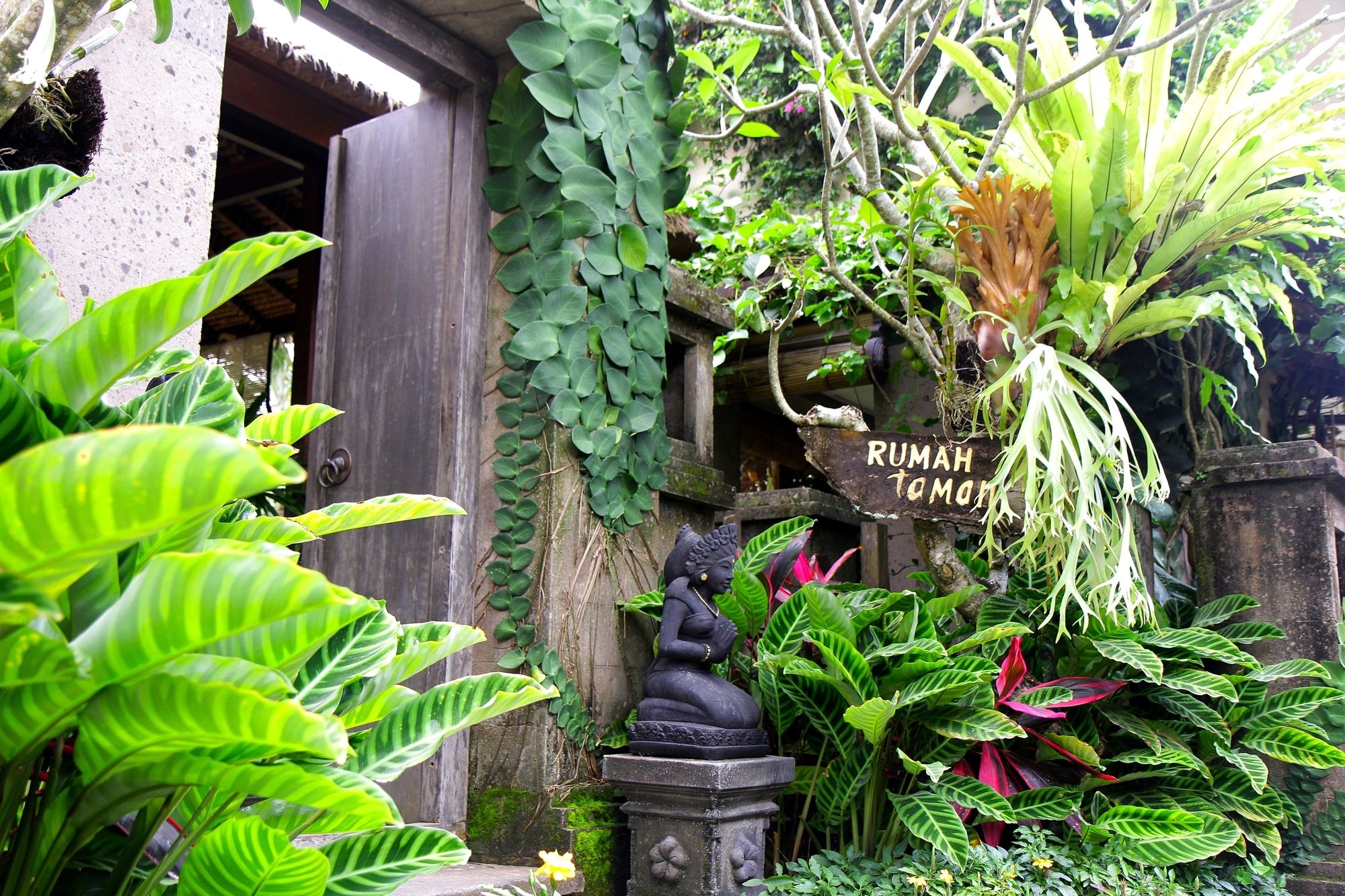 Rumah Taman