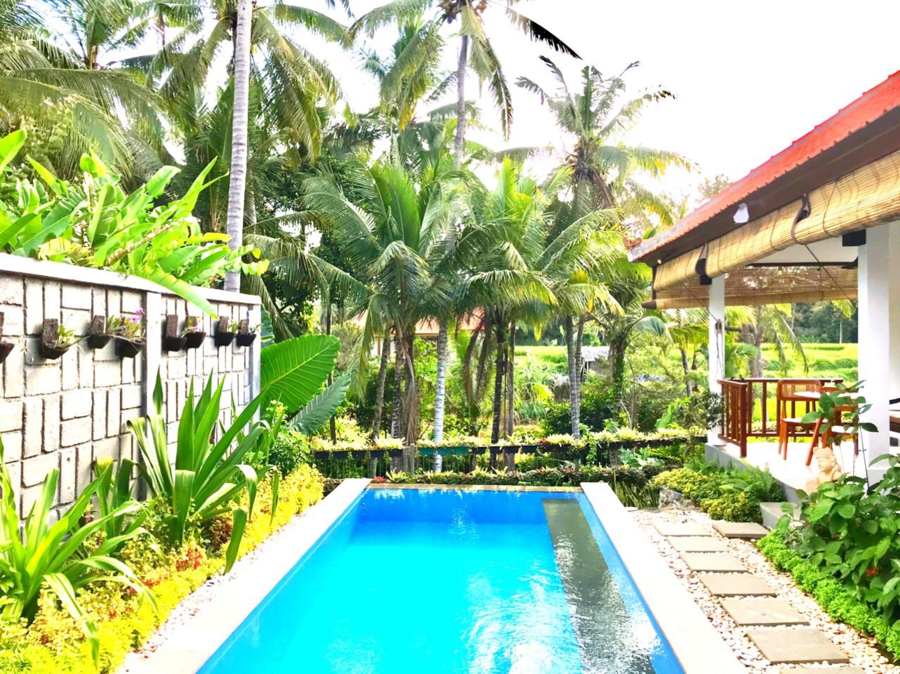 Rumah Taman Kutuh