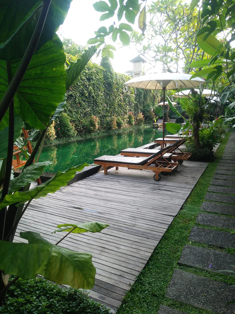Sapodilla Ubud