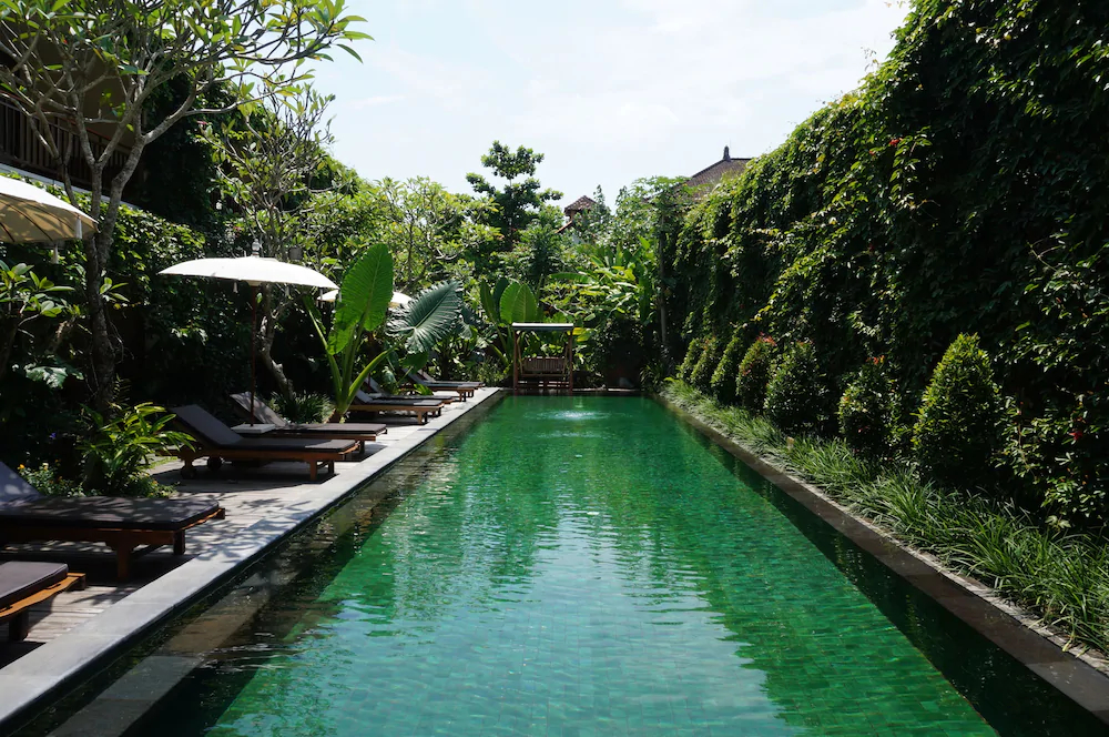 Sapodilla Ubud