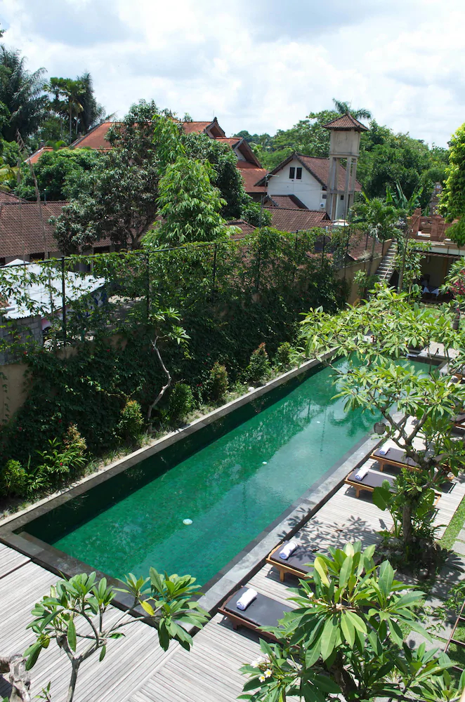 Sapodilla Ubud