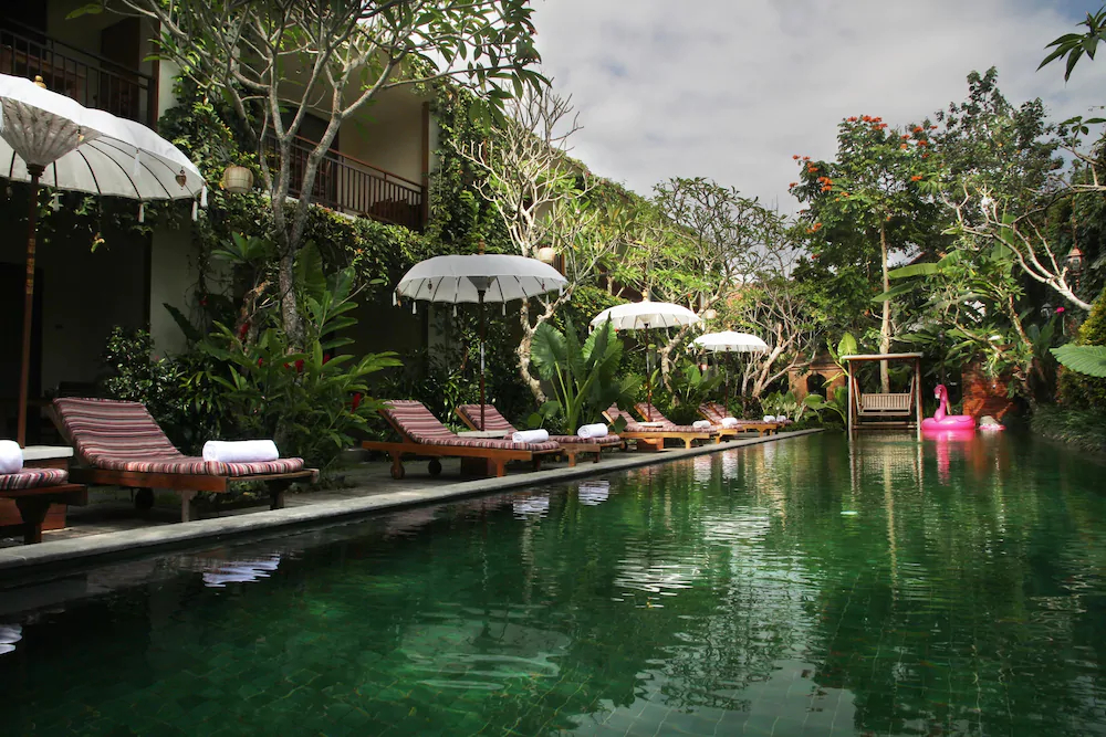 Sapodilla Ubud