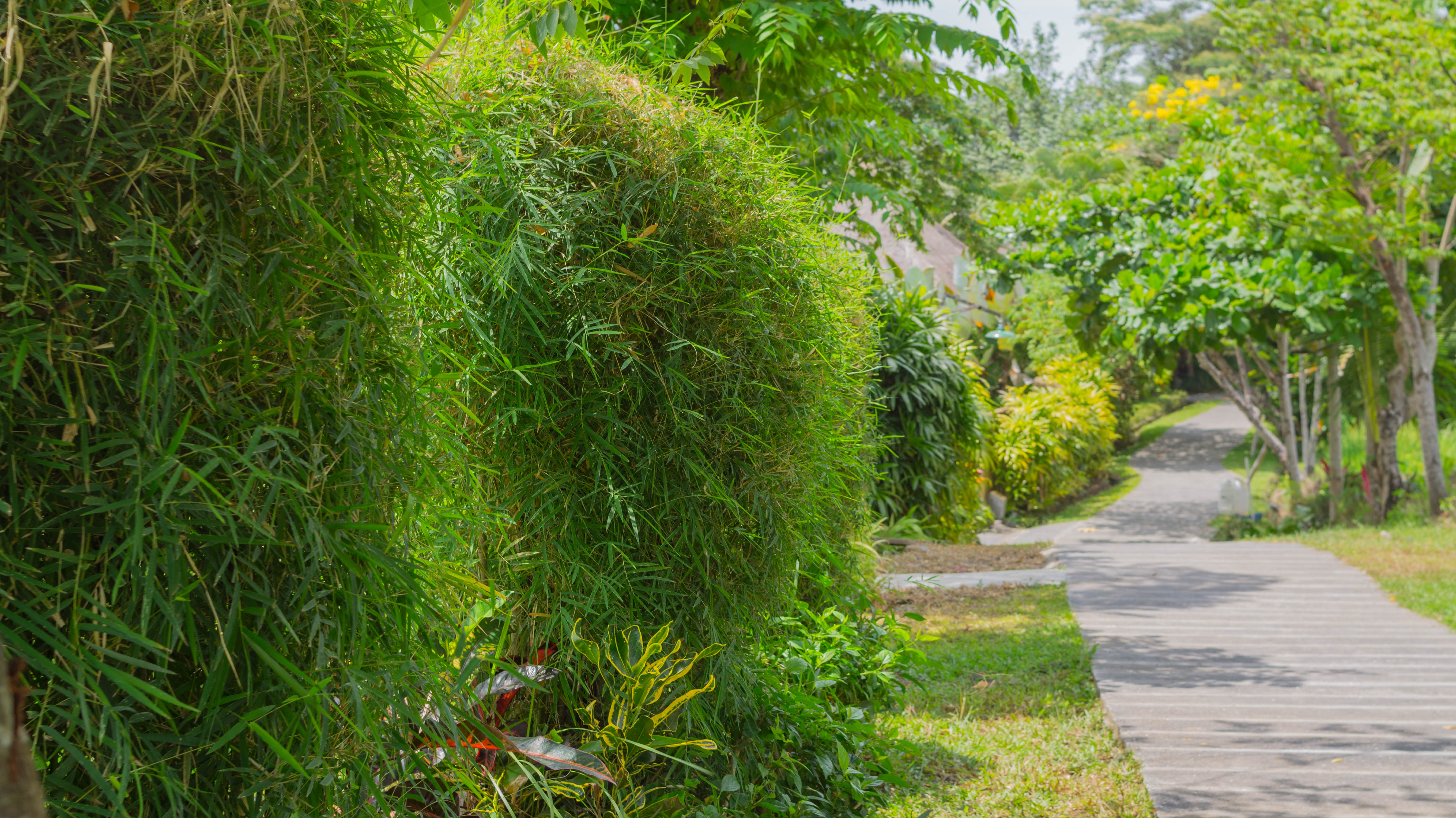 Sapu Lidi Resort Spa & Gallery