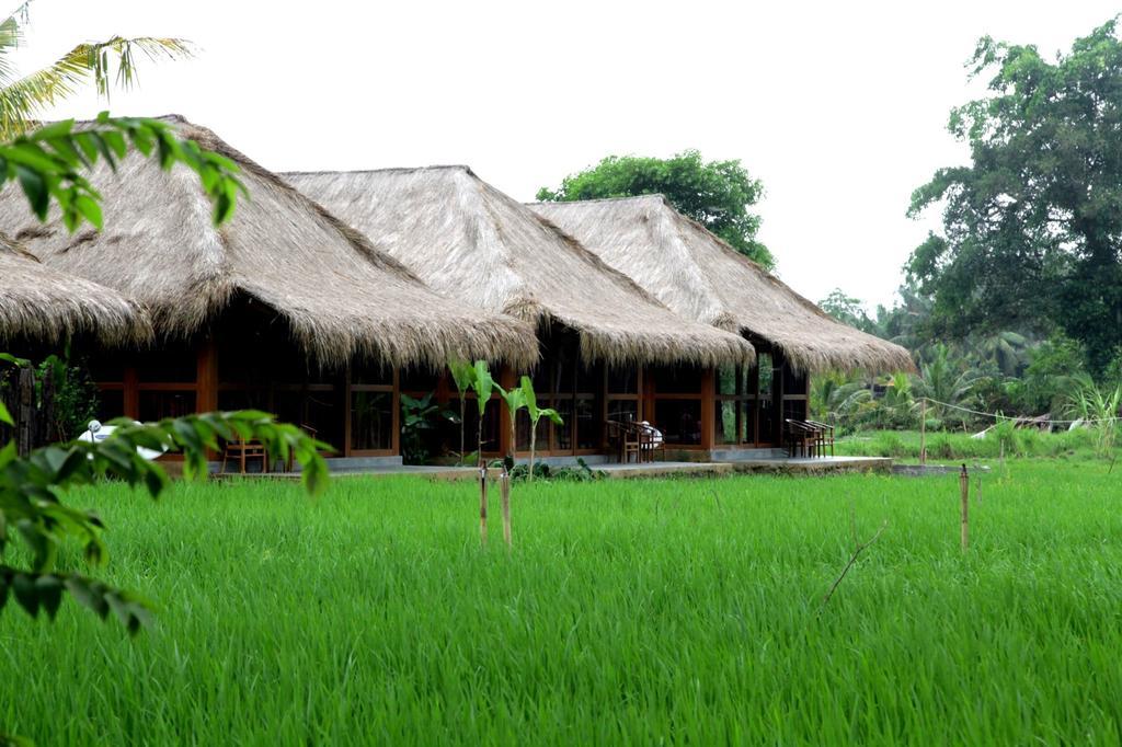 Sapu Lidi Resort Spa & Gallery