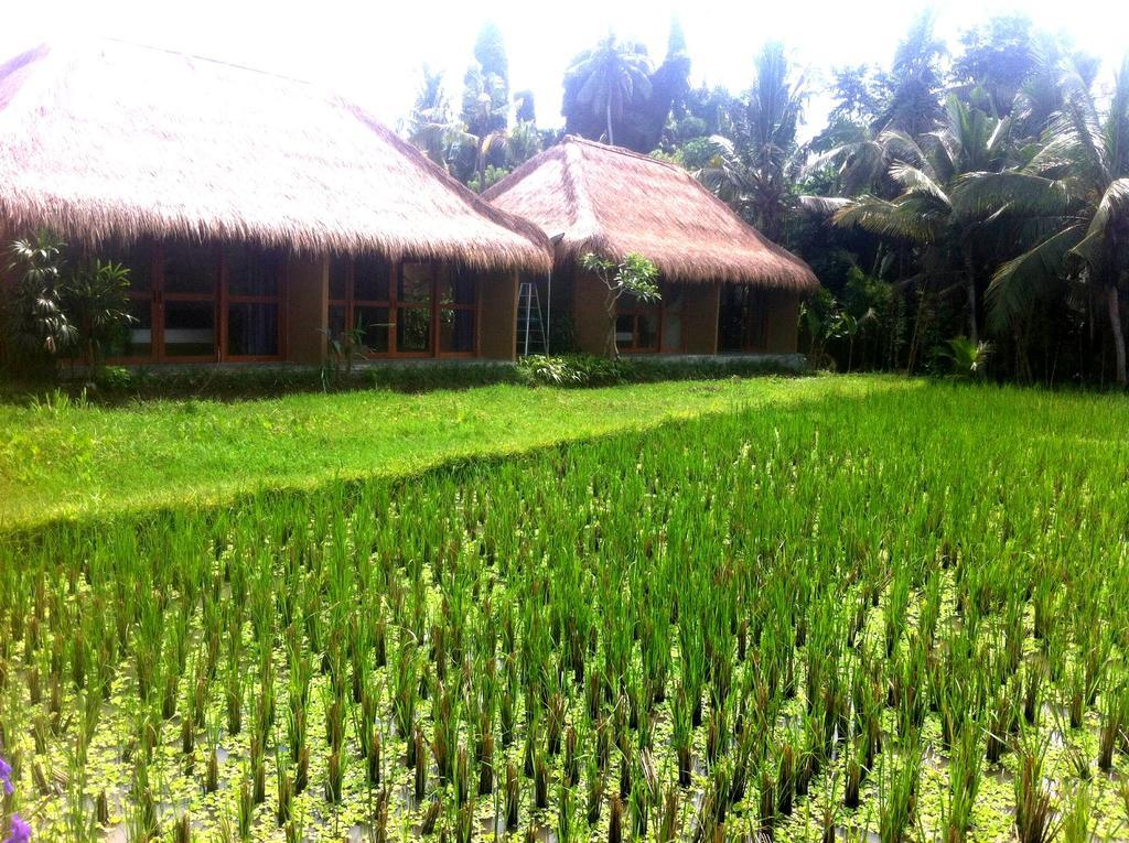 Sapu Lidi Resort Spa & Gallery