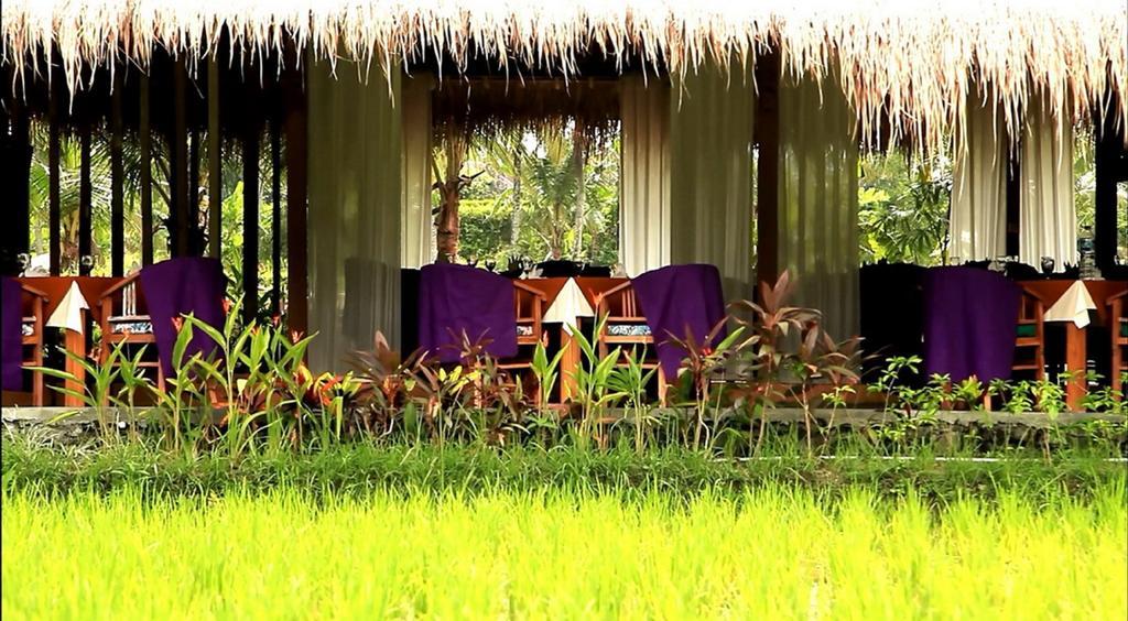 Sapu Lidi Resort Spa & Gallery