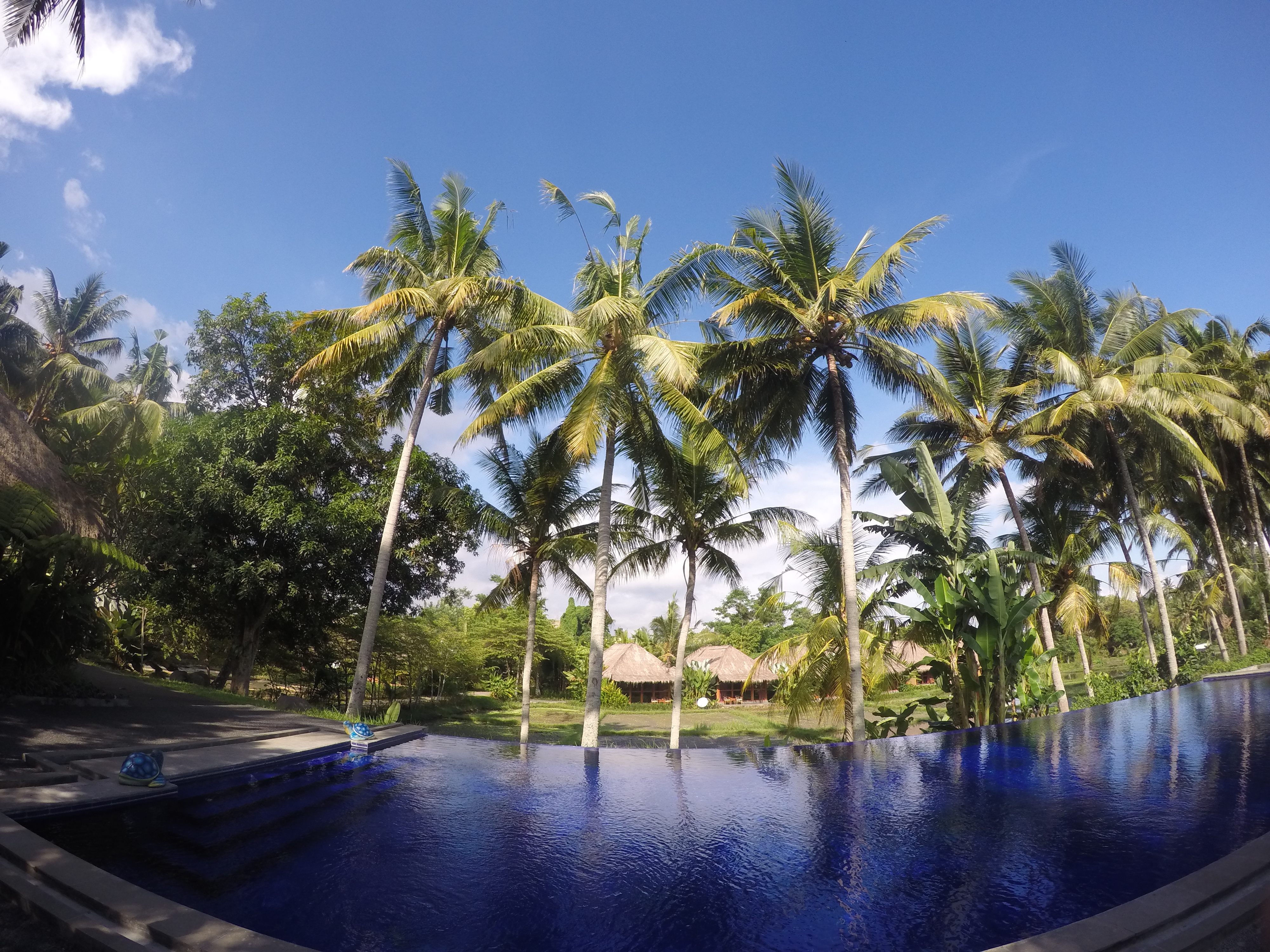 Sapu Lidi Resort Spa & Gallery