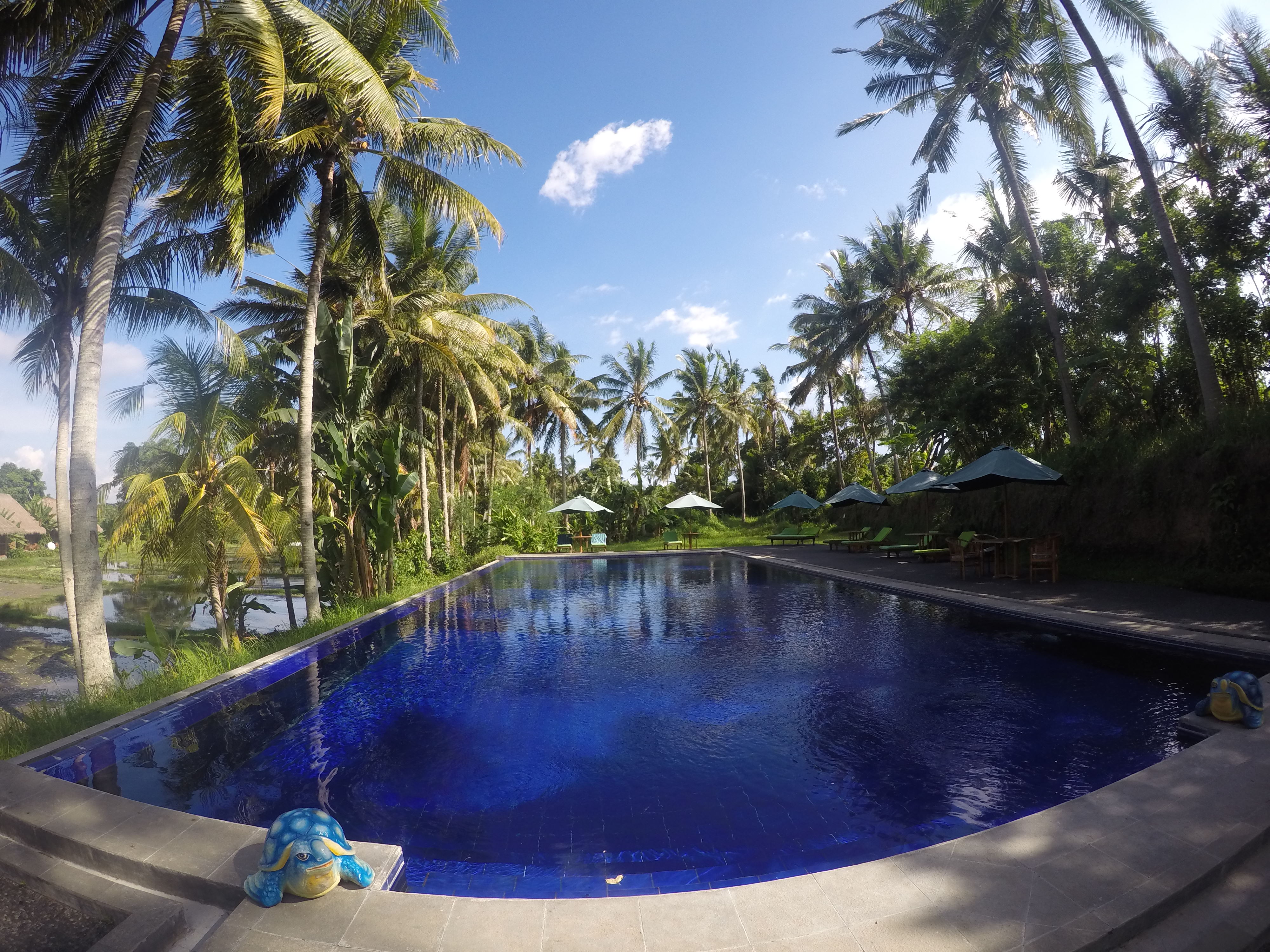 Sapu Lidi Resort Spa & Gallery