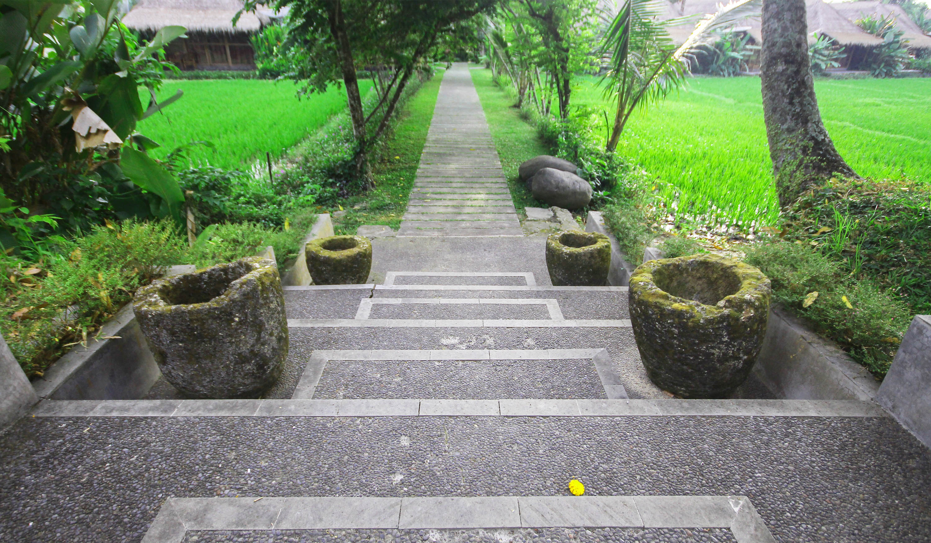 Sapu Lidi Resort Spa & Gallery