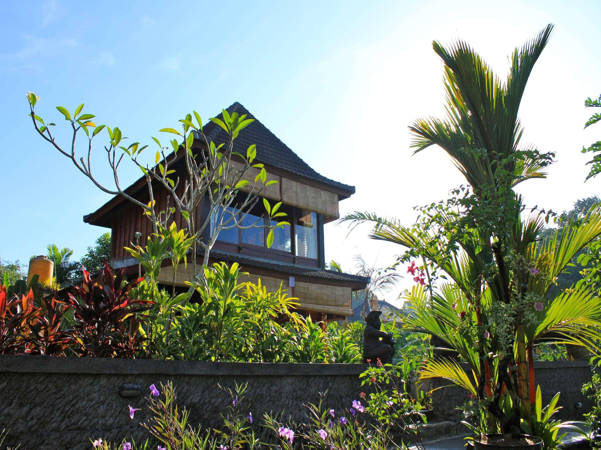 Sari Bamboo Villas