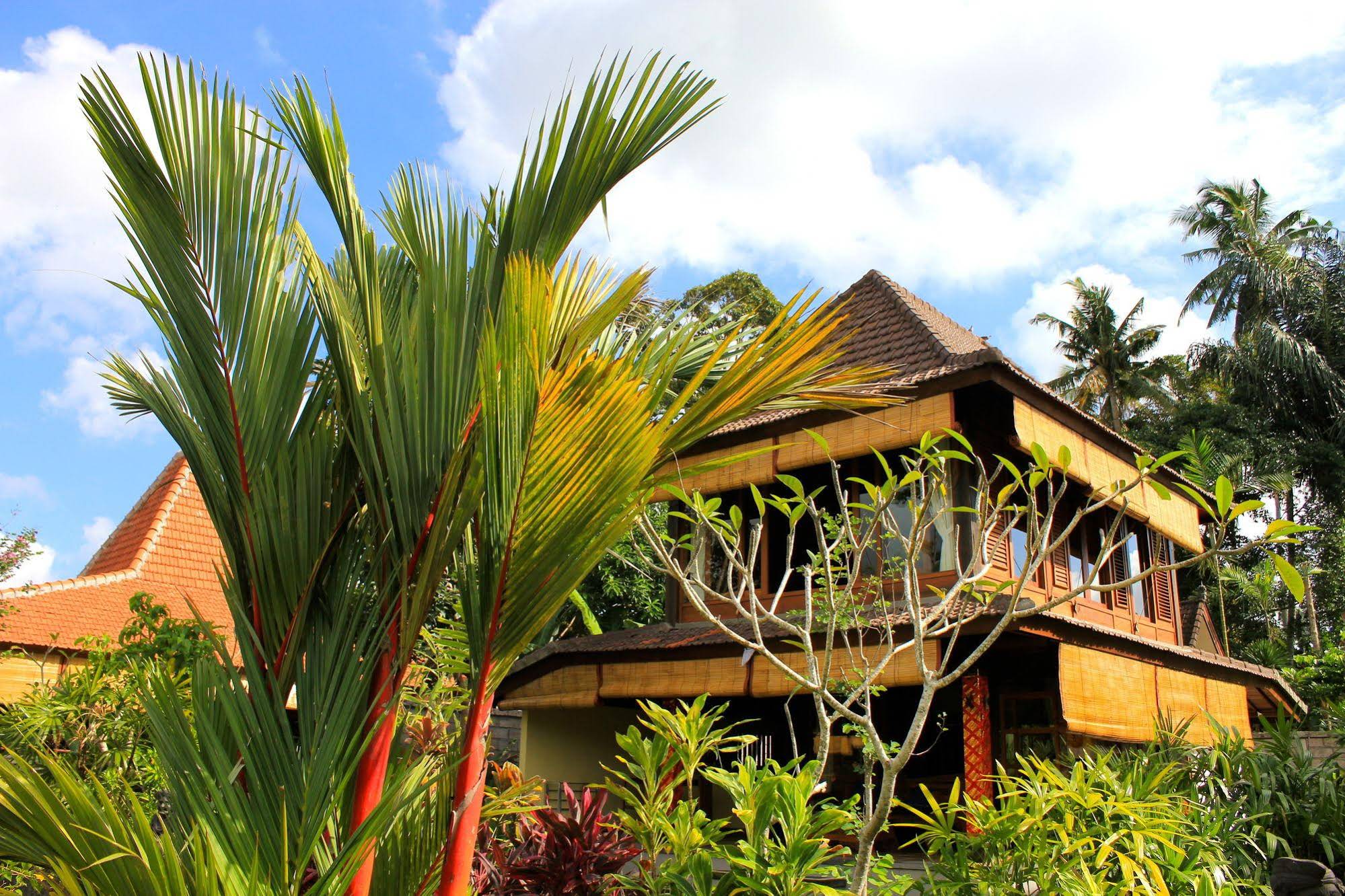 Sari Bamboo Villas