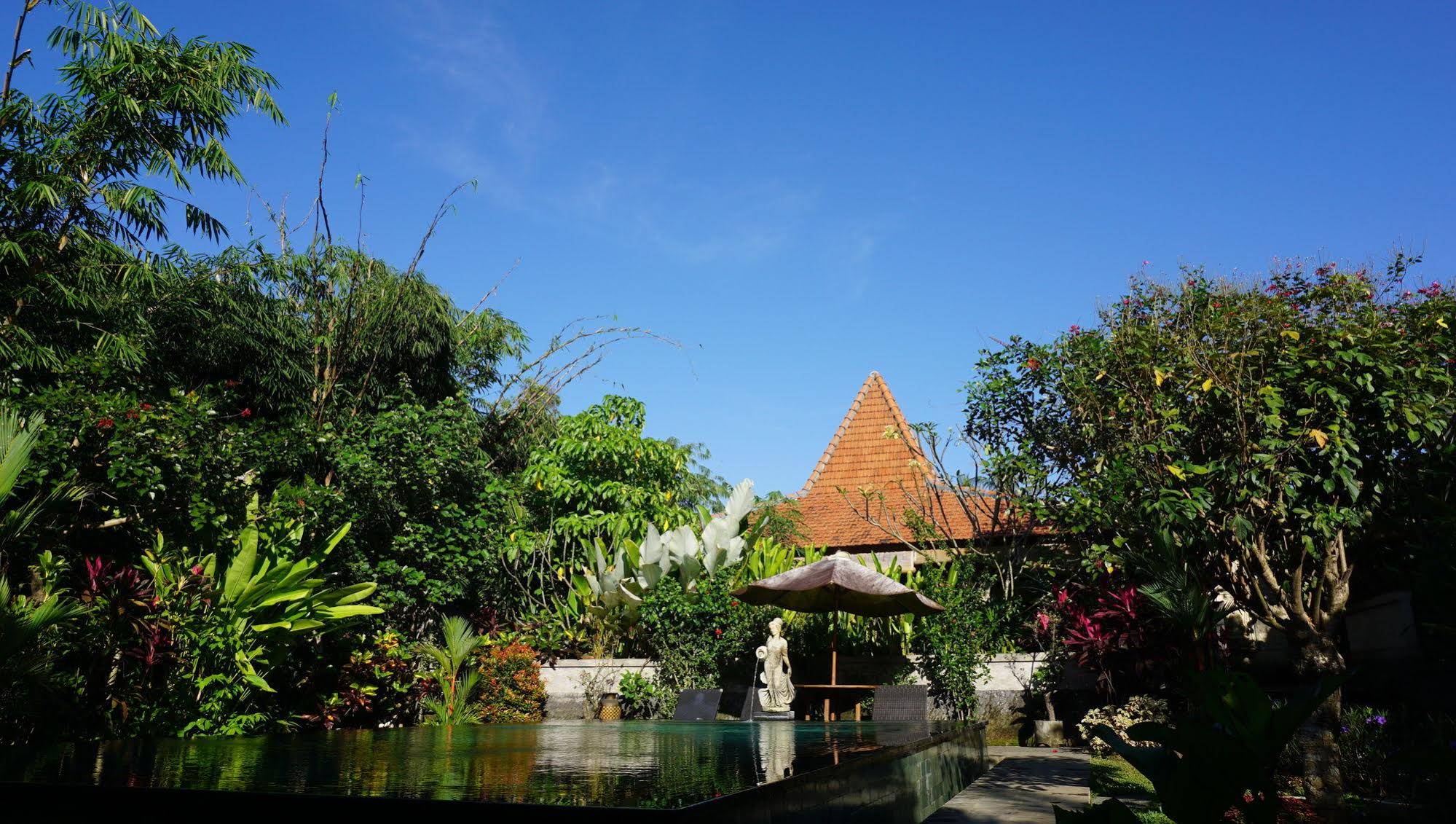 Sari Bamboo Villas