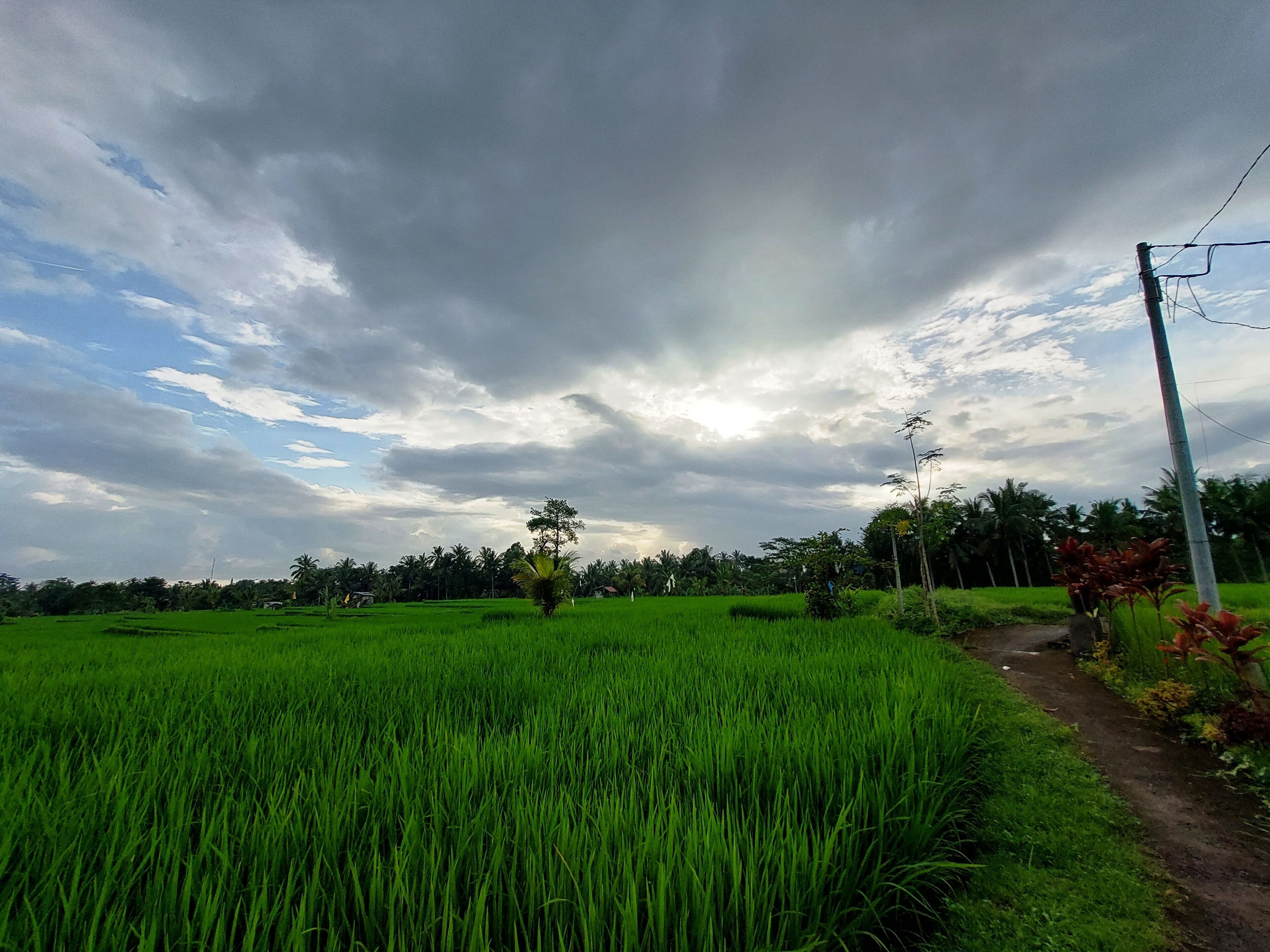 Shivananda Antique Villas by EPS