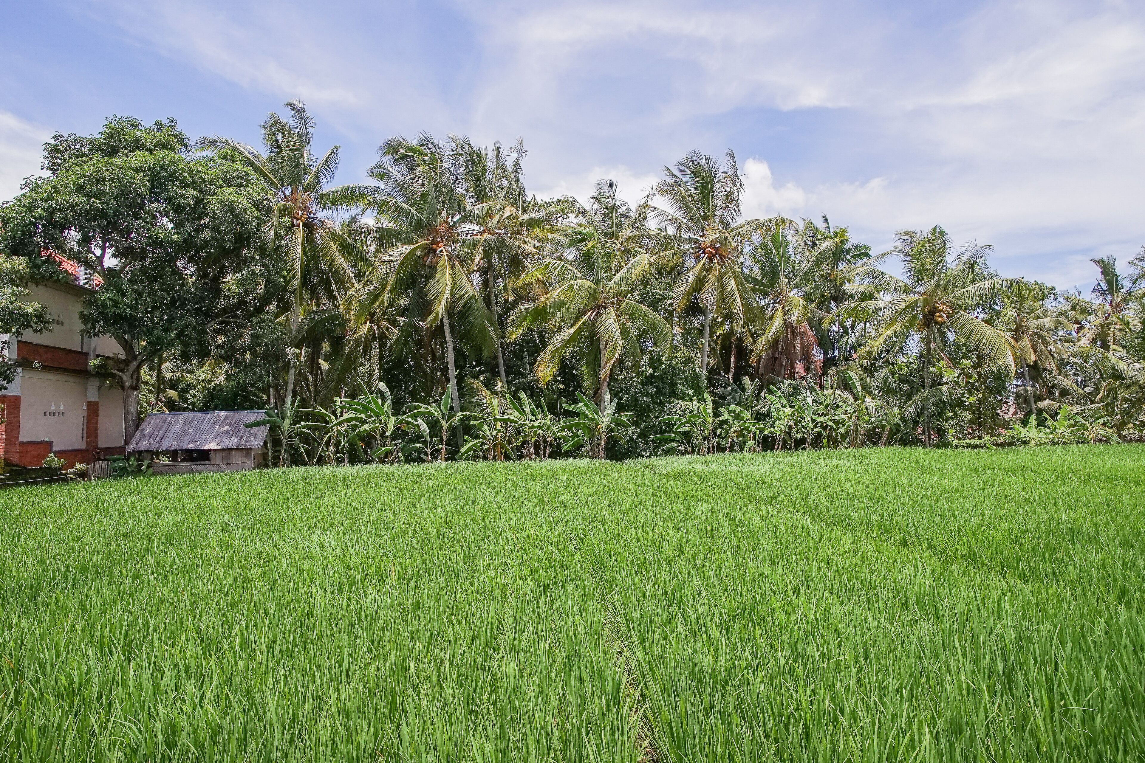 Soca Cantik Villas