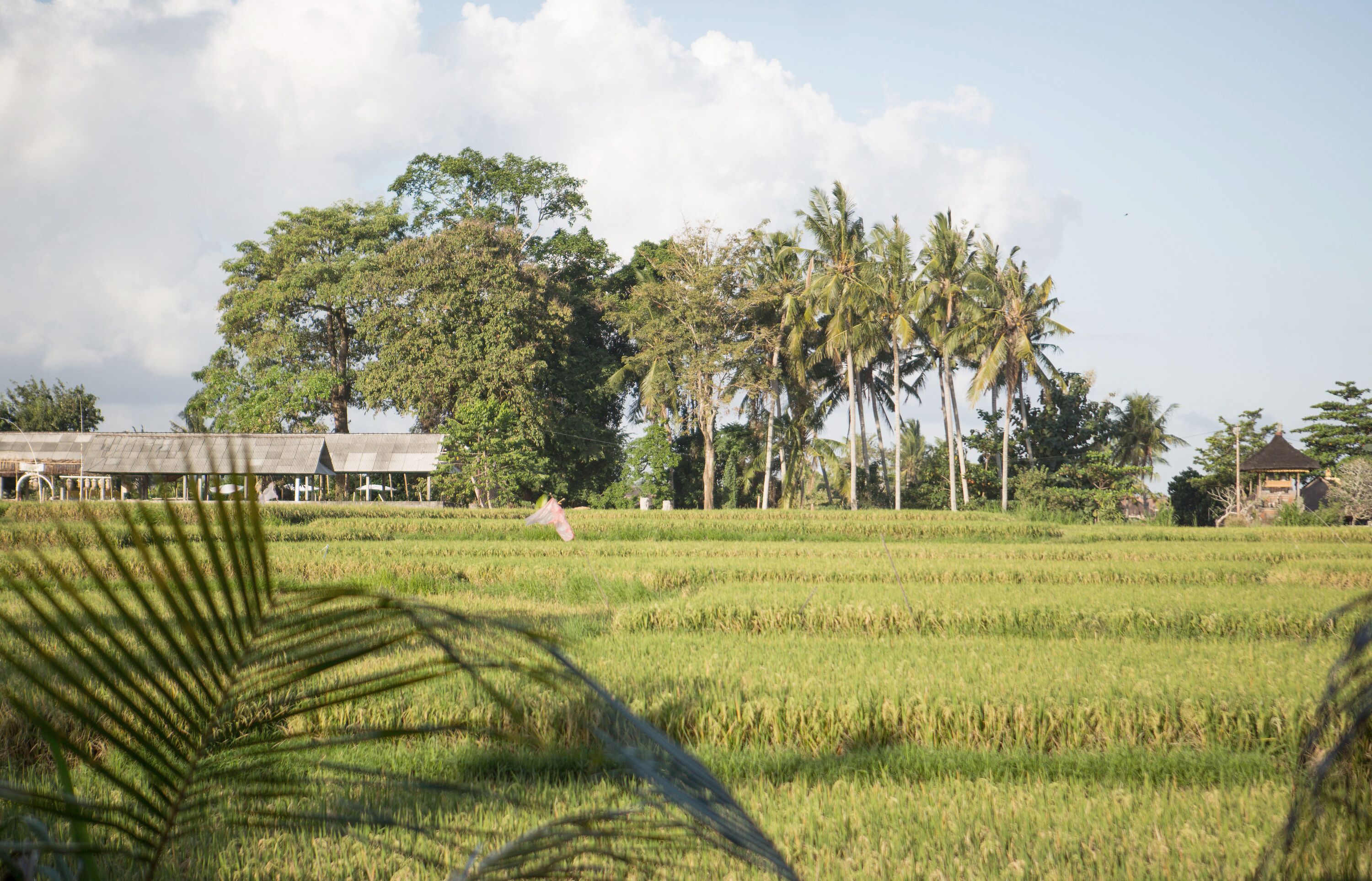 Soulshine Bali