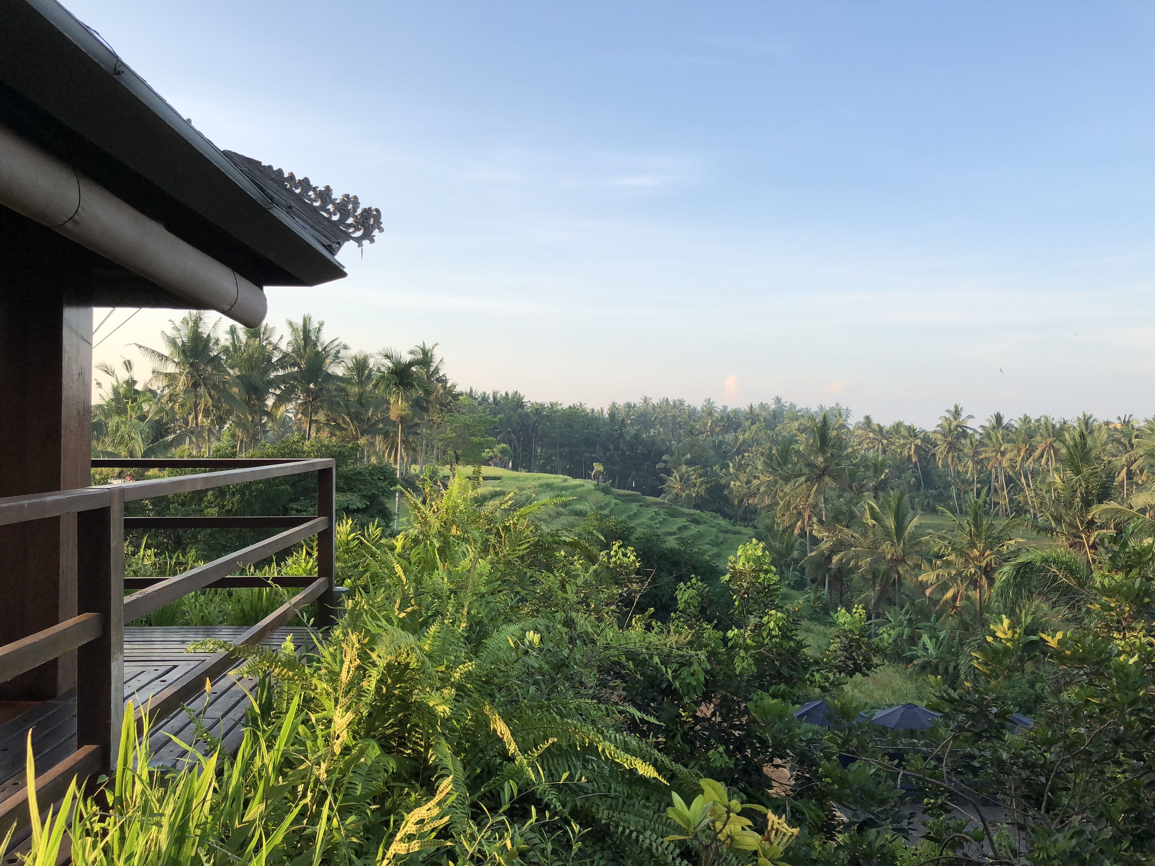 Soulshine Bali