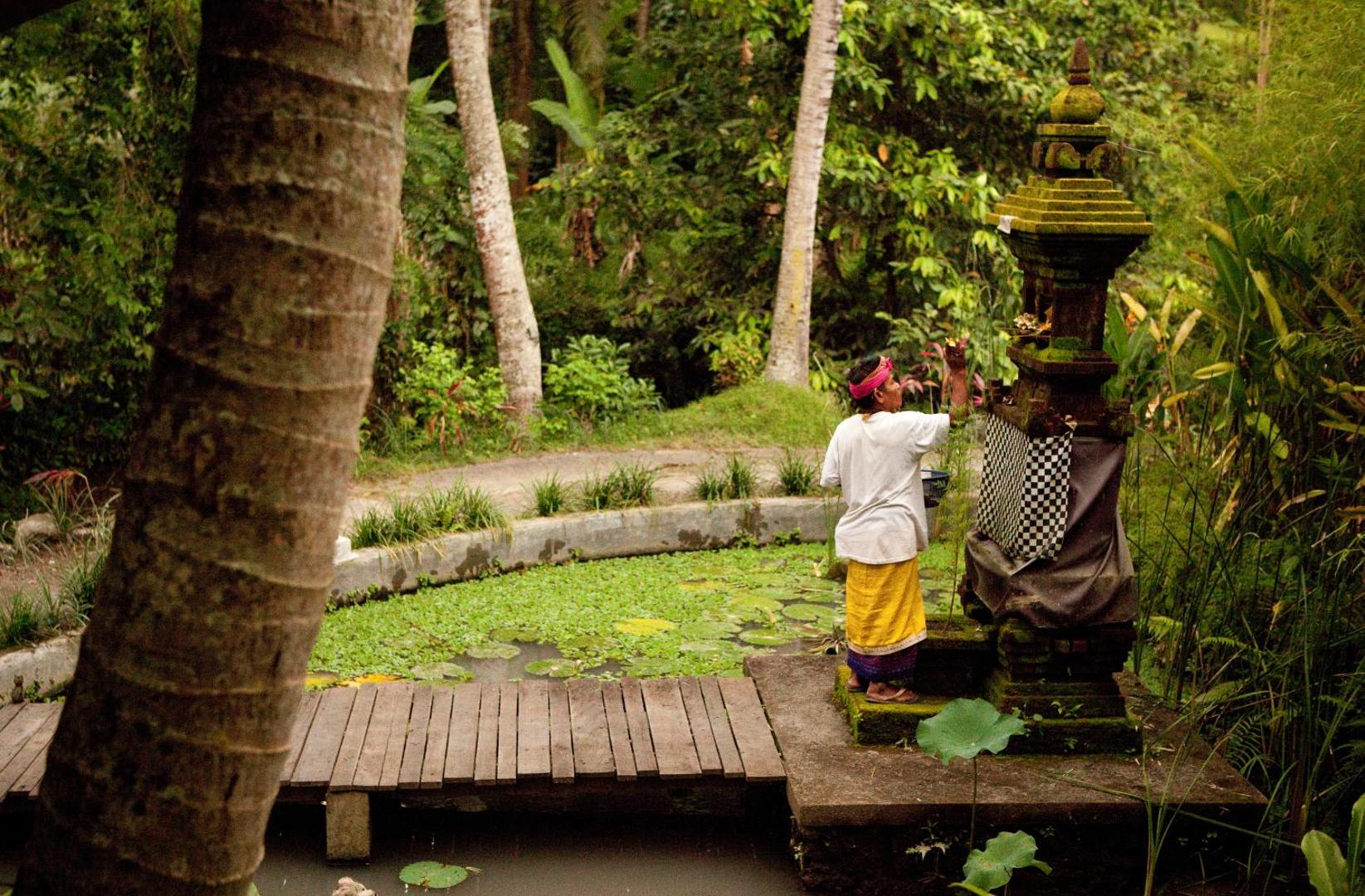 Soulshine Bali