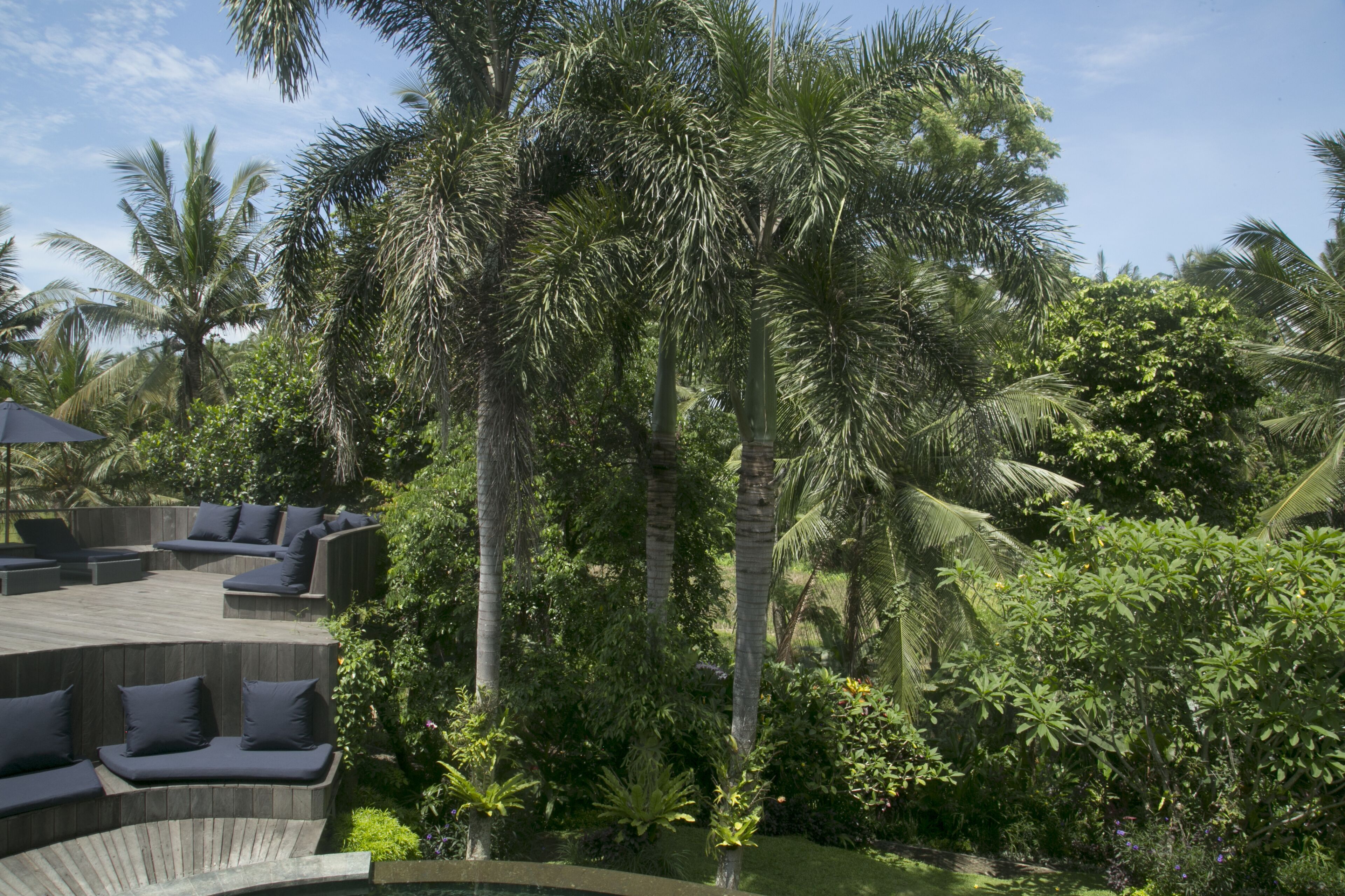 Soulshine Bali