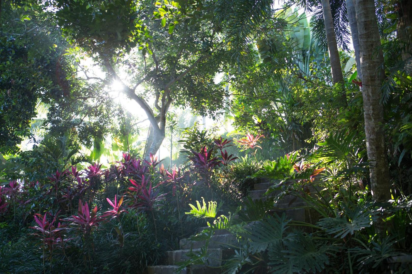 Soulshine Bali