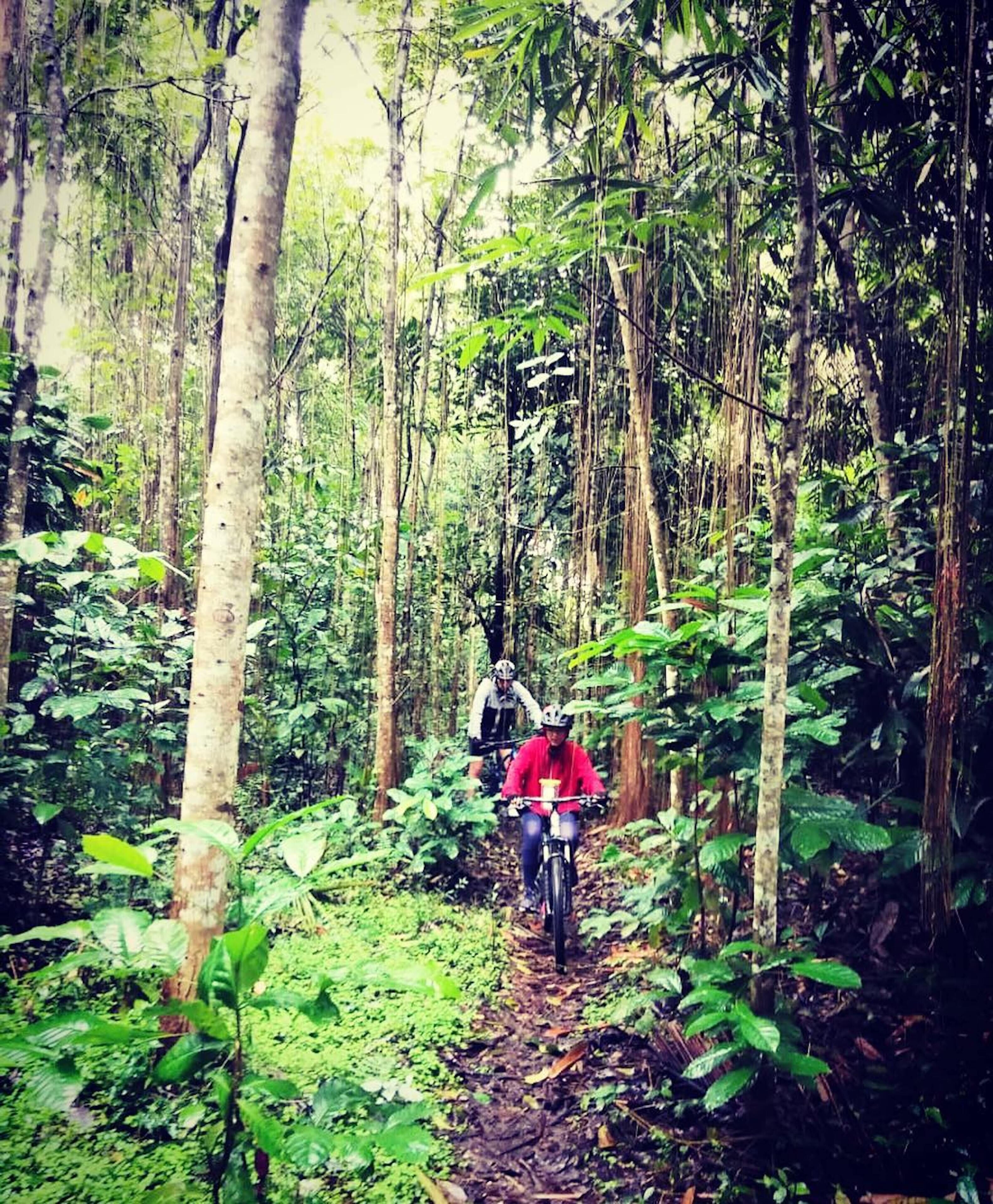 Soulshine Bali