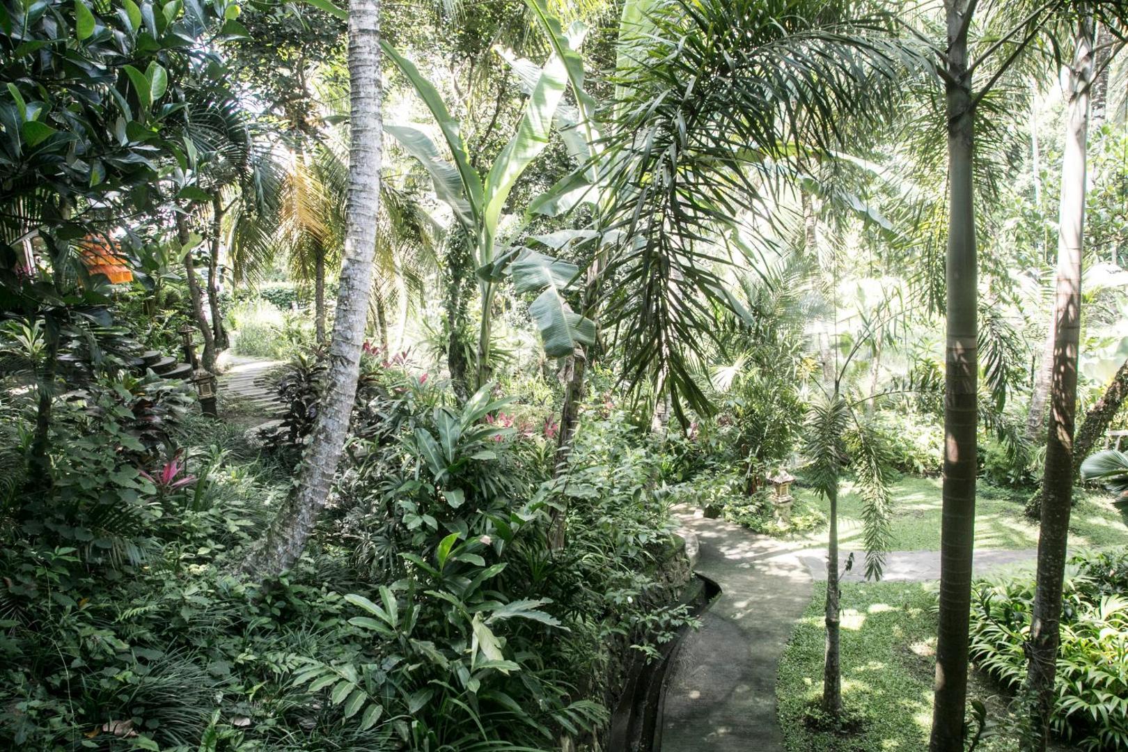 Soulshine Bali