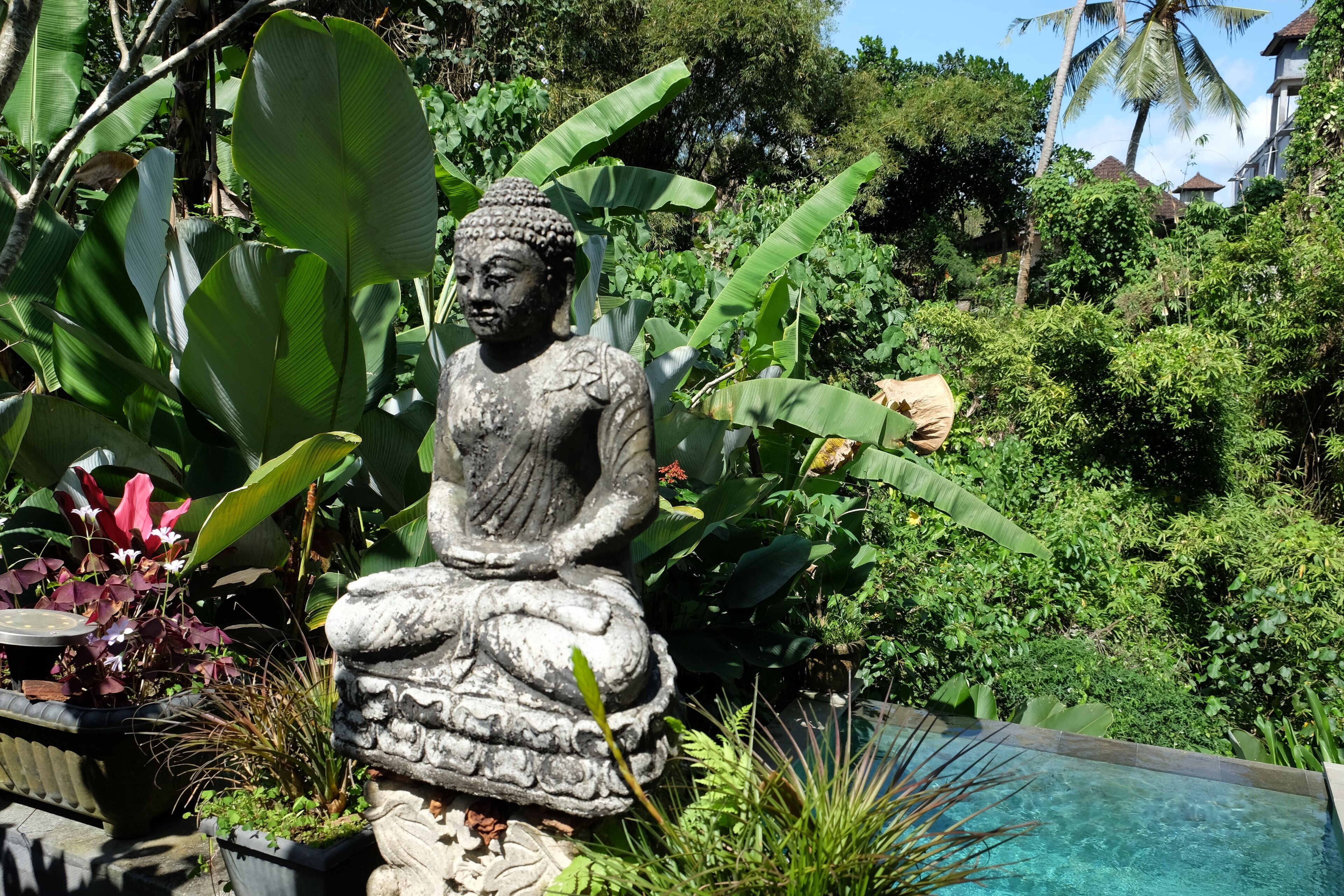 Suastika Bed & Breakfast