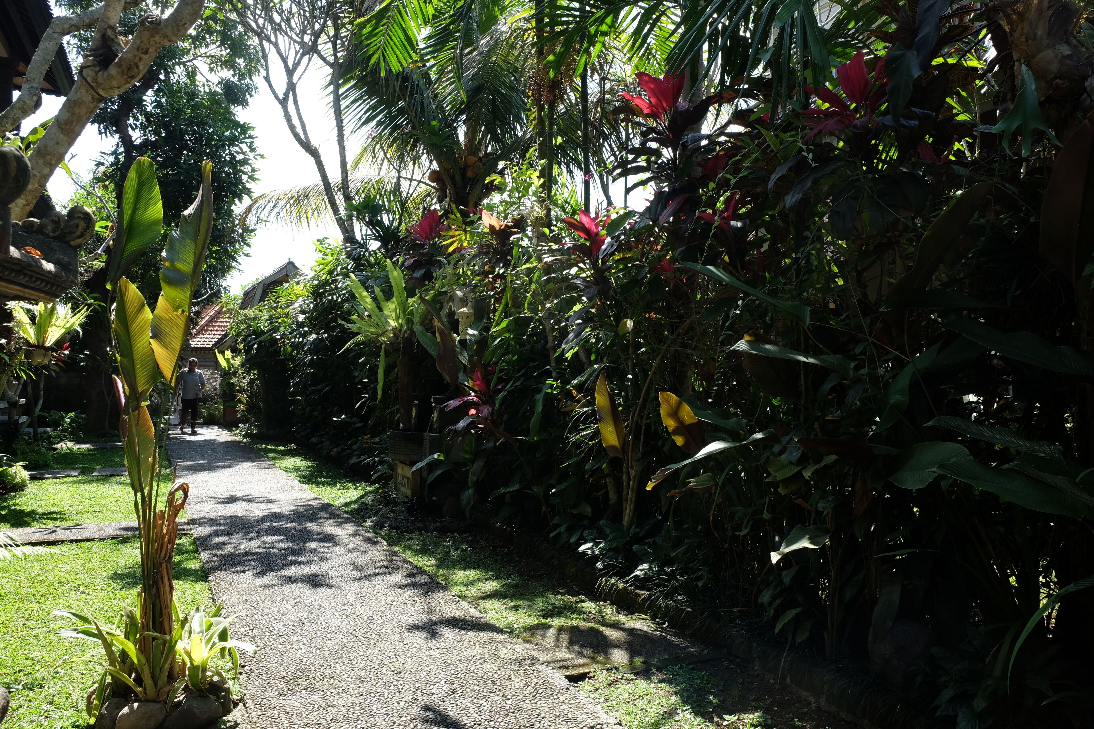 Suastika Bed & Breakfast