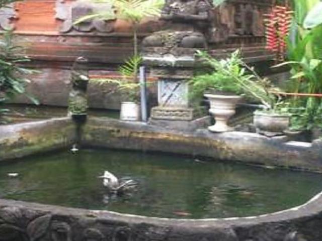 Sukma Guest House