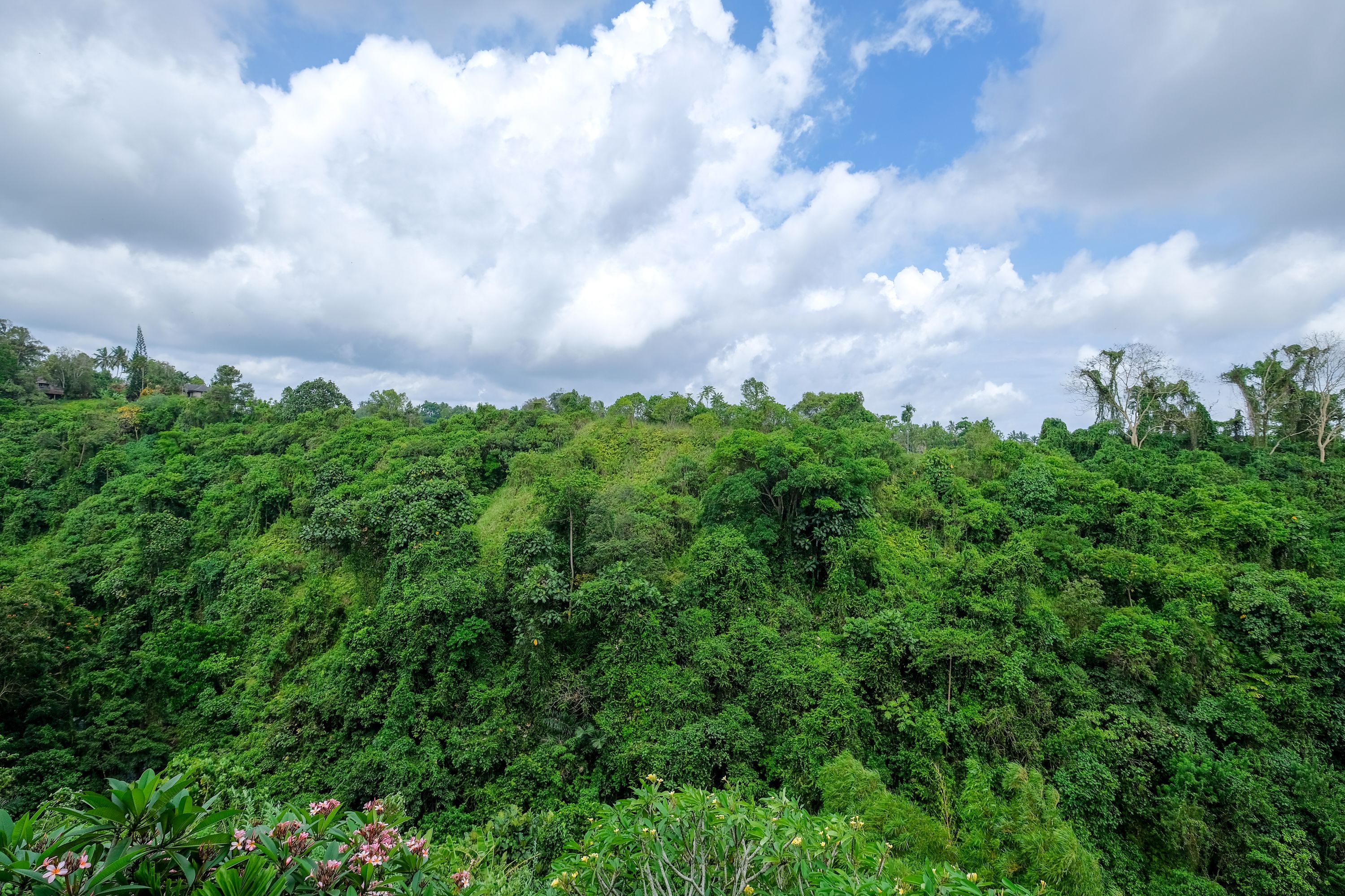 Sunrise Villa Ubud