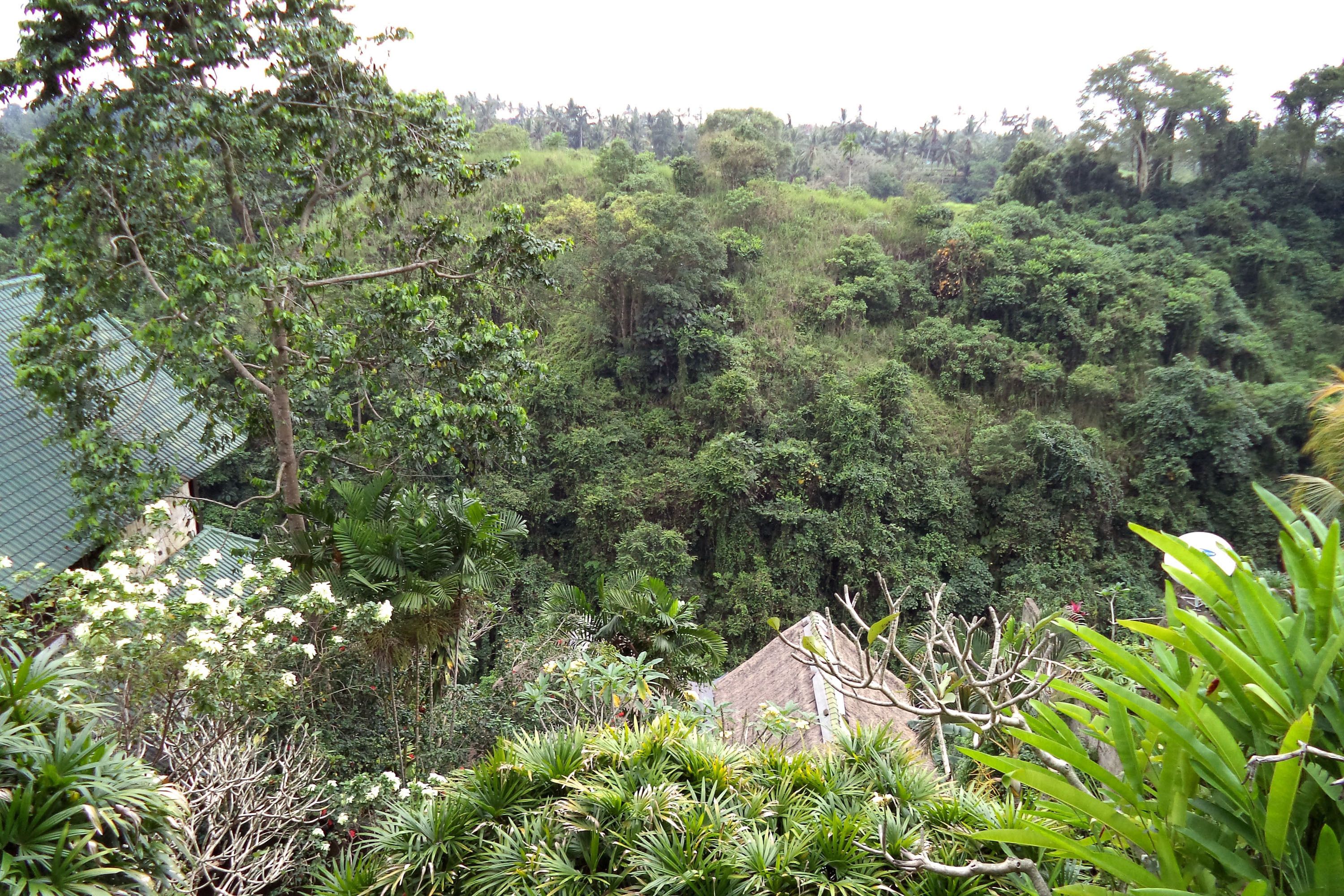 Sunrise Villa Ubud